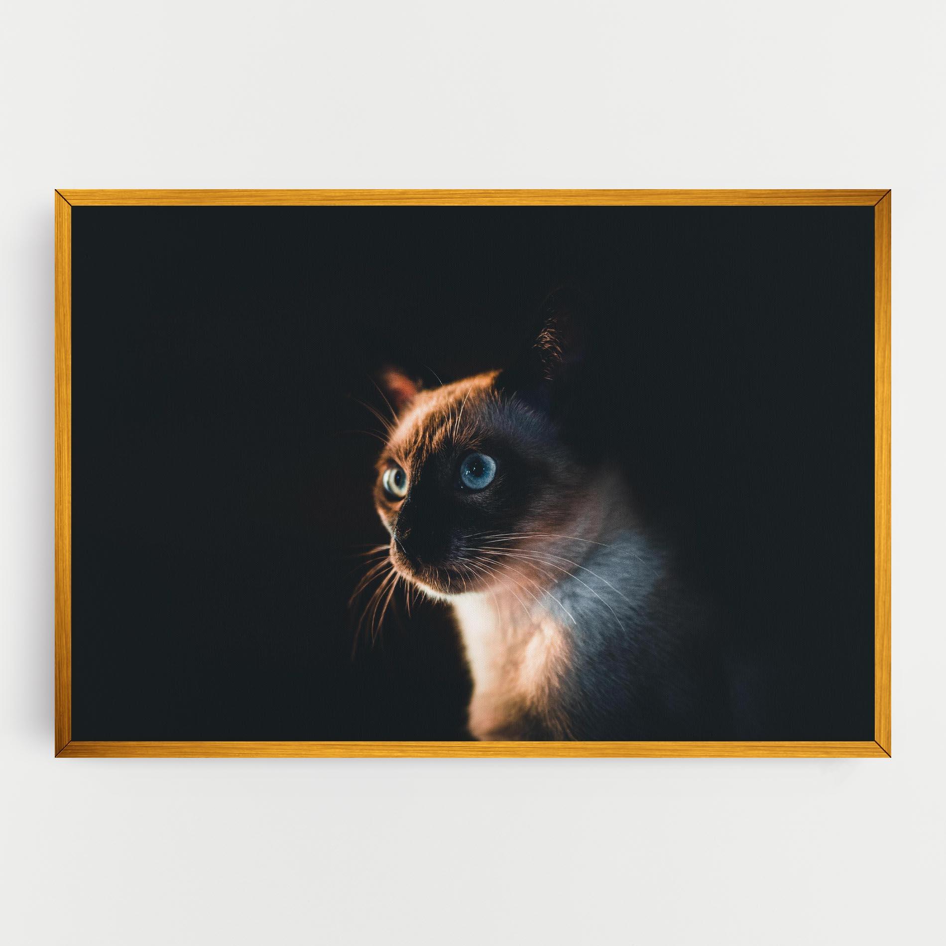 Tablou Canvas Blue Eyes Cat In Dark mockup 0