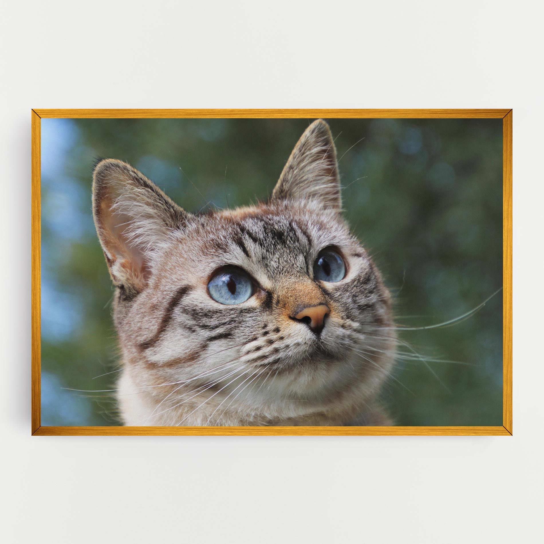 Tablou Canvas Blue Eyes Cutie mockup 0