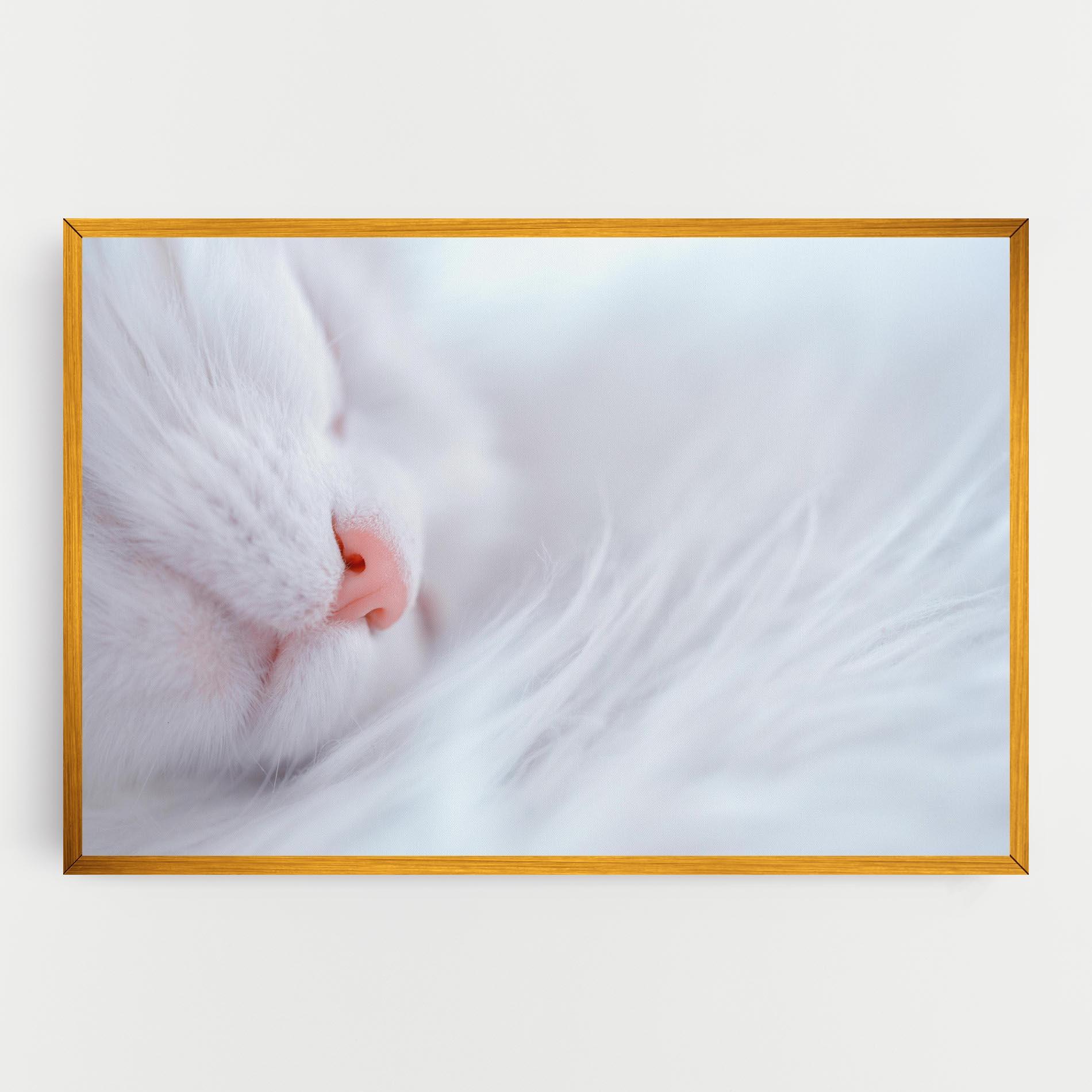 Tablou Canvas Dreamy White Cat mockup 0