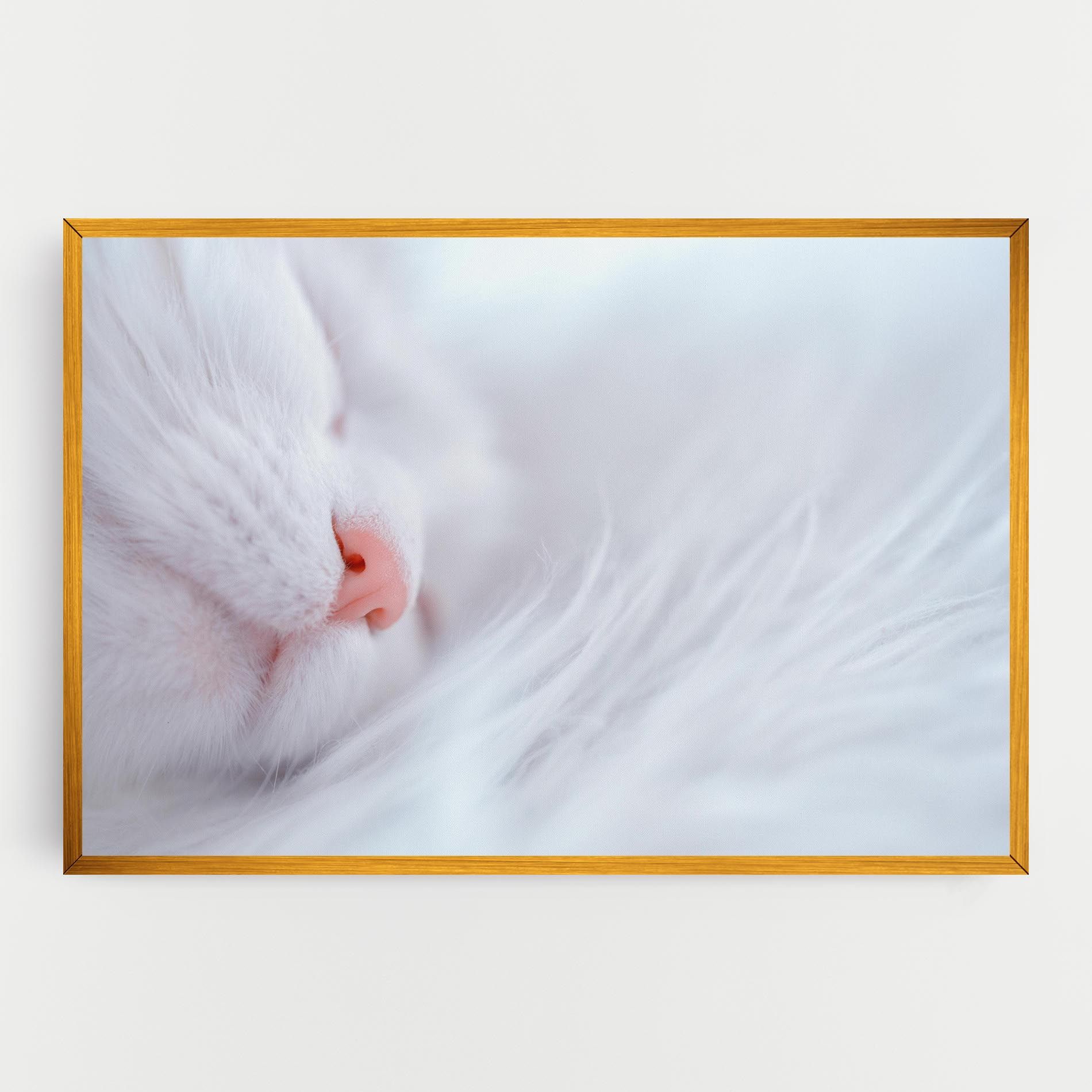 Dreamy White Cat mockup 0