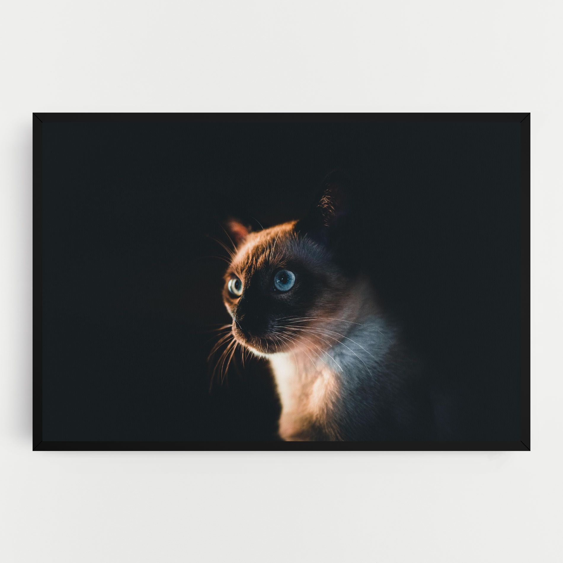 Blue Eyes Cat In Dark mockup 0