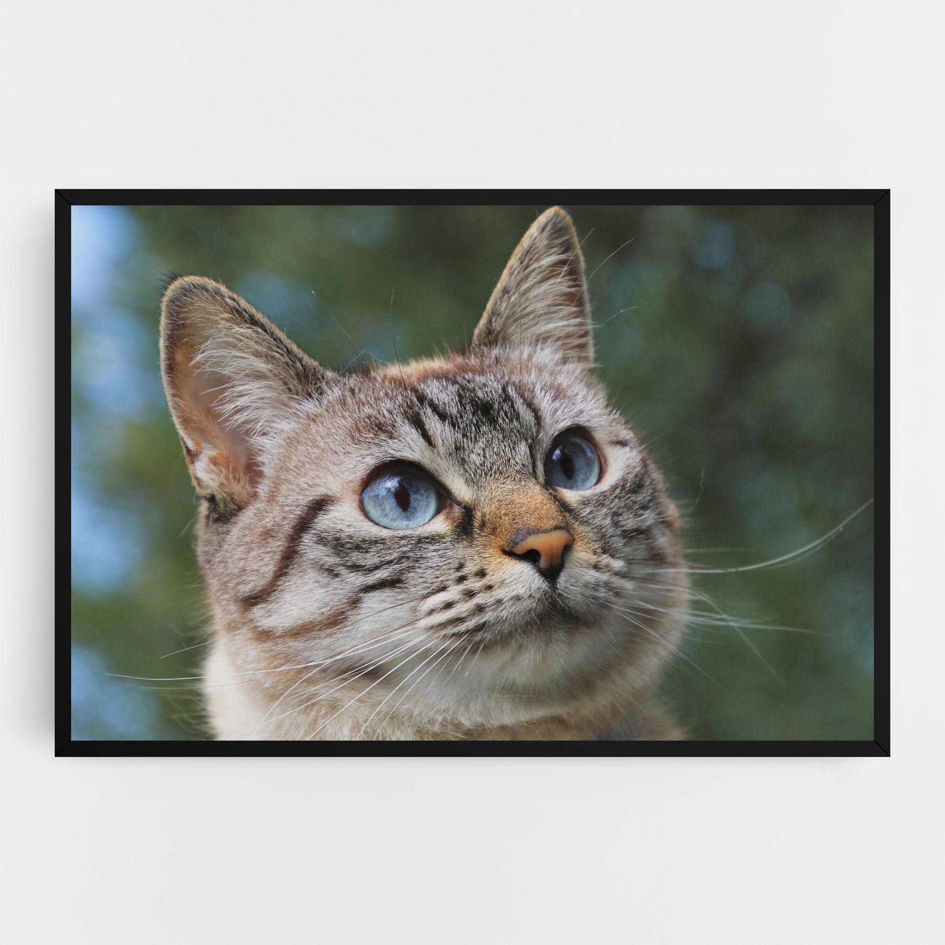 Tablou Canvas Blue Eyes Cutie mockup 0