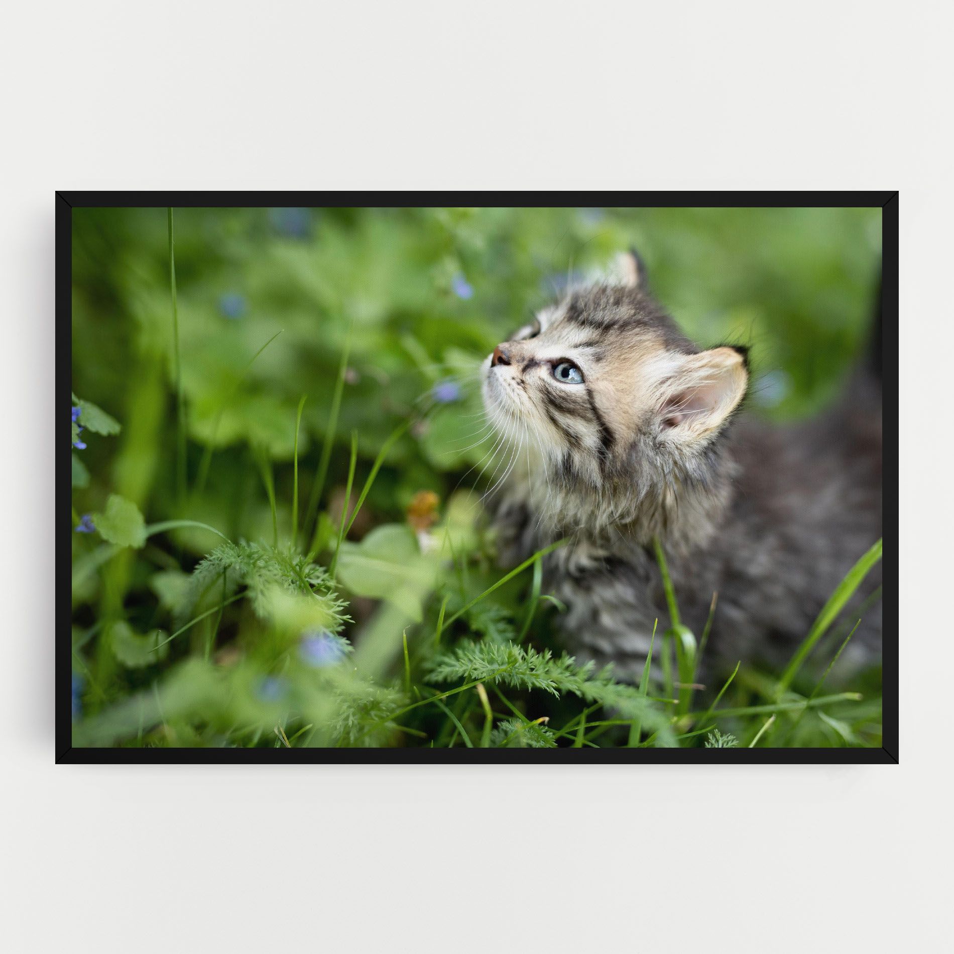 Brown Baby Cat mockup 0