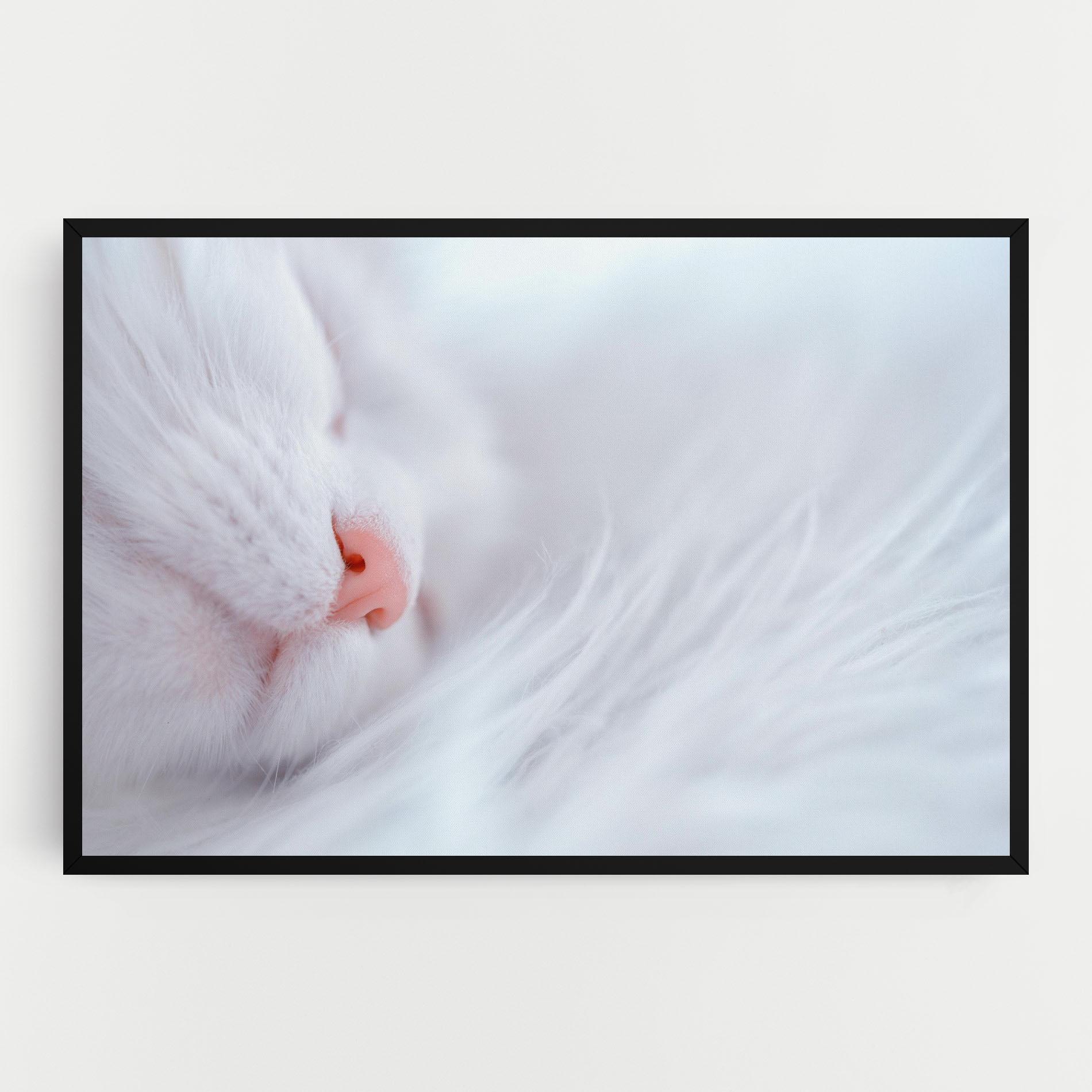 Tablou Canvas Dreamy White Cat mockup 0
