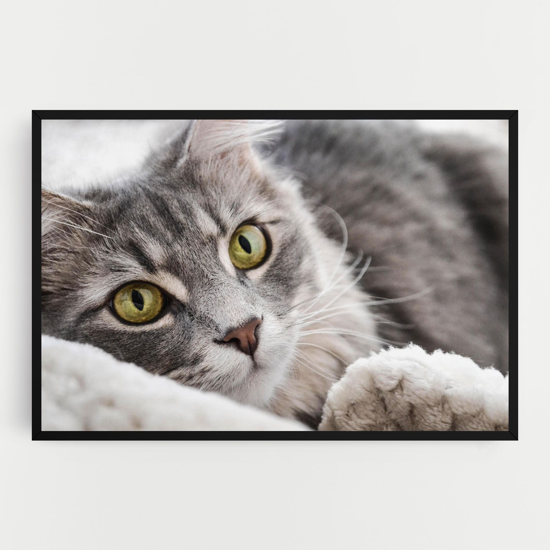 Grey Fluffy Cat mockup 0