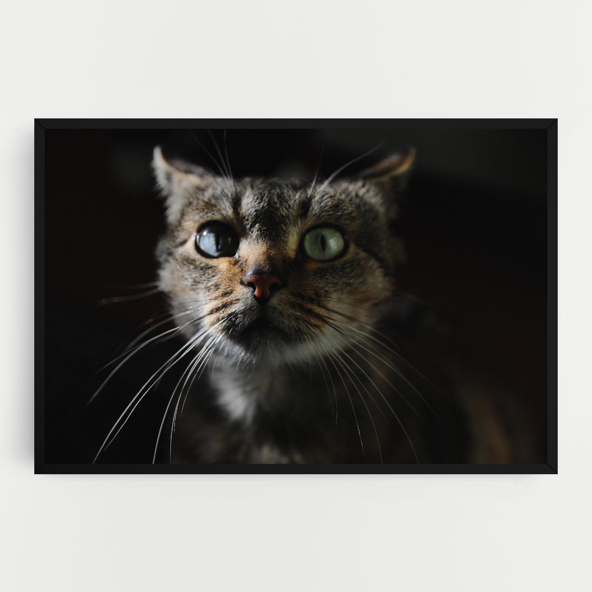 Tablou Canvas Playful Cat mockup 0