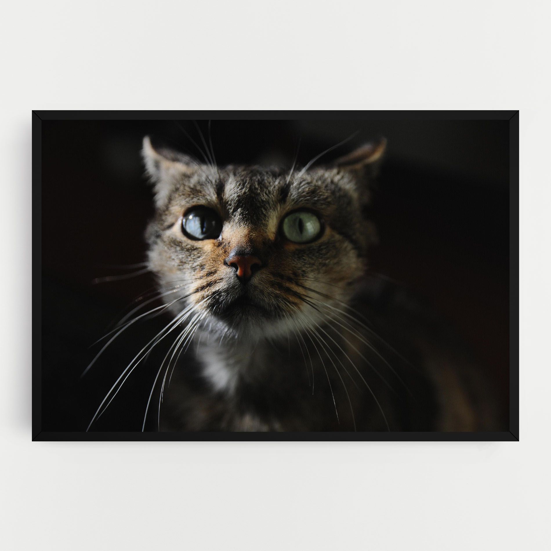 Playful Cat mockup 0