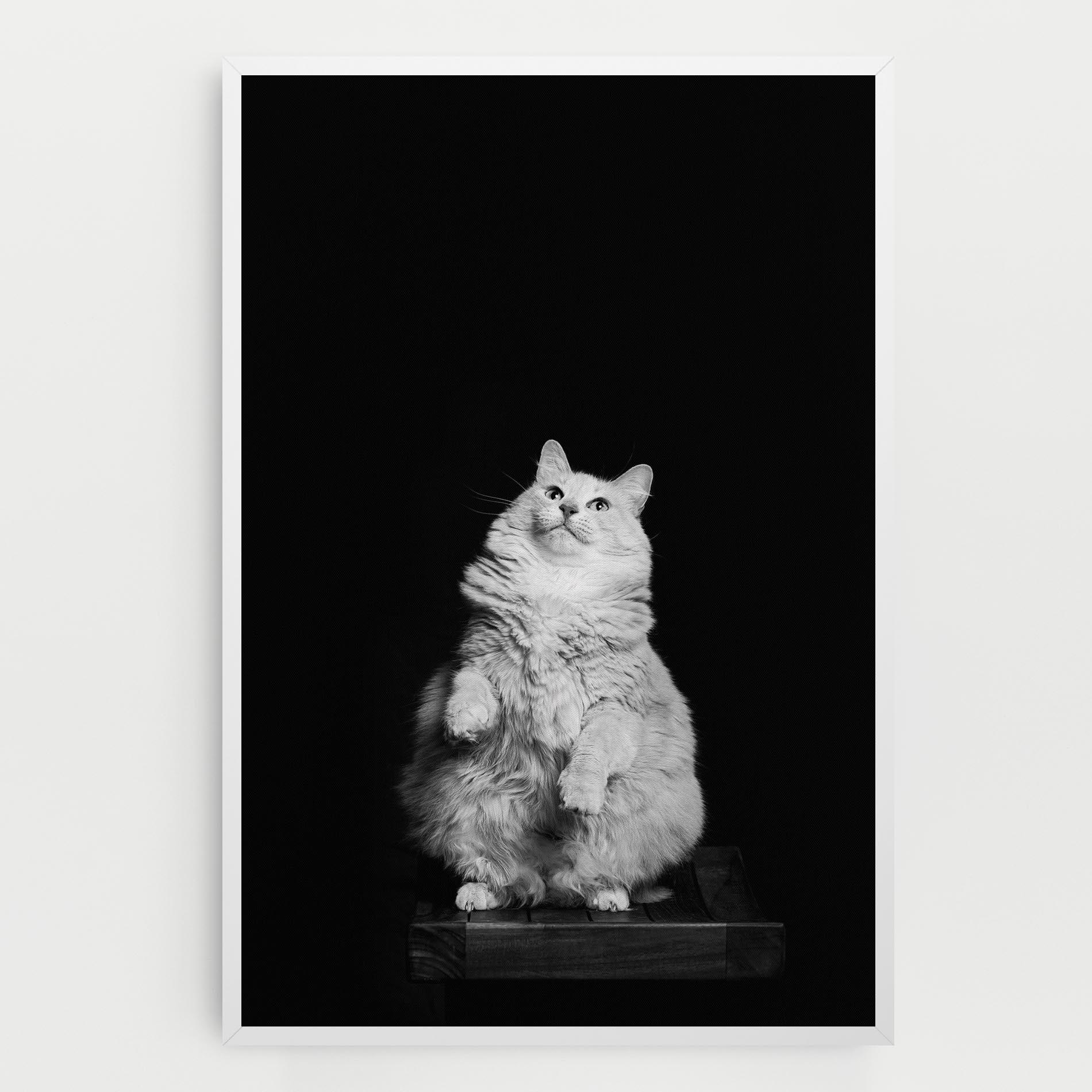 Tablou Canvas Big Fluffy Cat mockup 0
