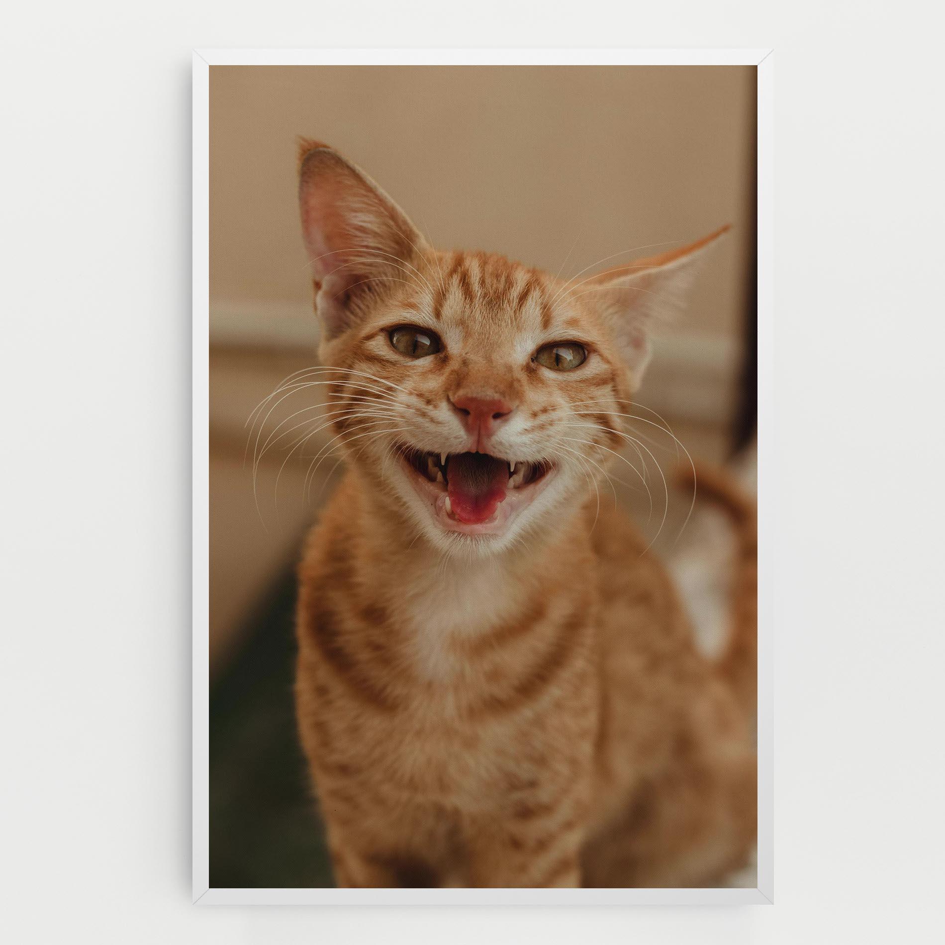 Tablou Canvas Orange Cat Smiling mockup 0