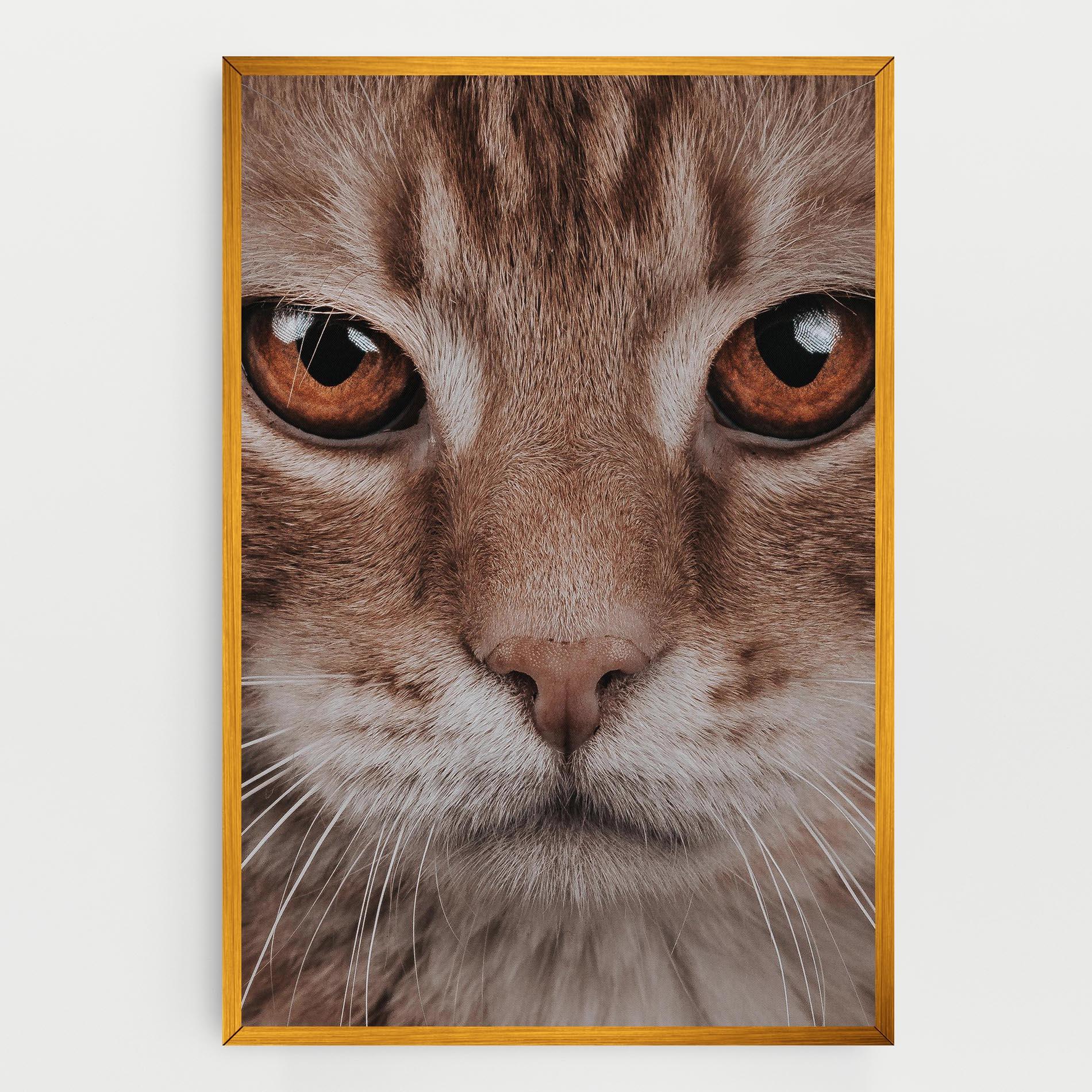 Tablou Canvas Fire Eyes Cat mockup 0