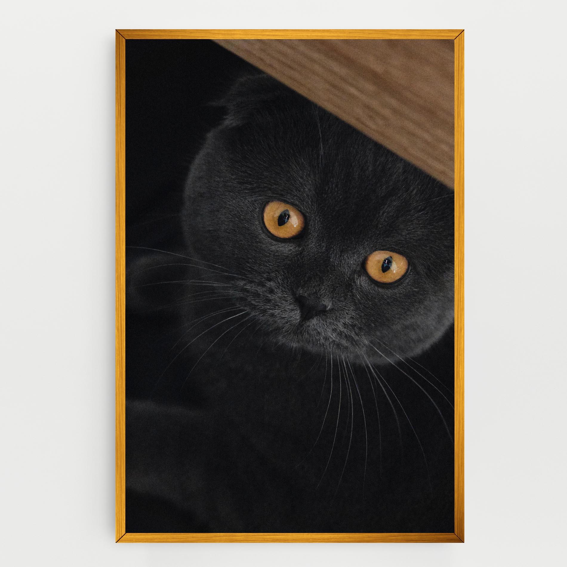 Tablou Canvas Grey Cat With Orange Eyes mockup 0