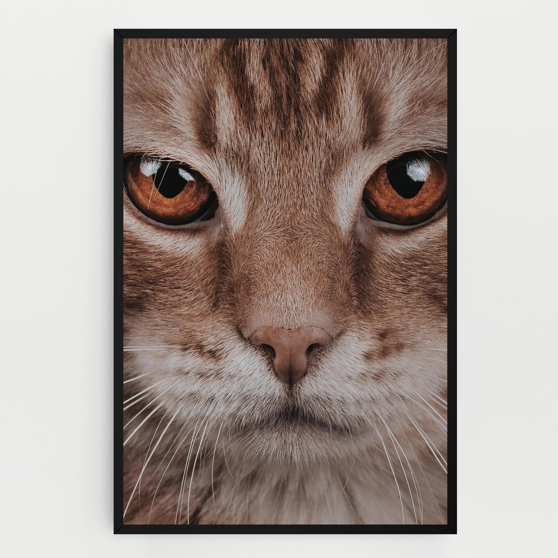 Tablou Canvas Fire Eyes Cat mockup 0