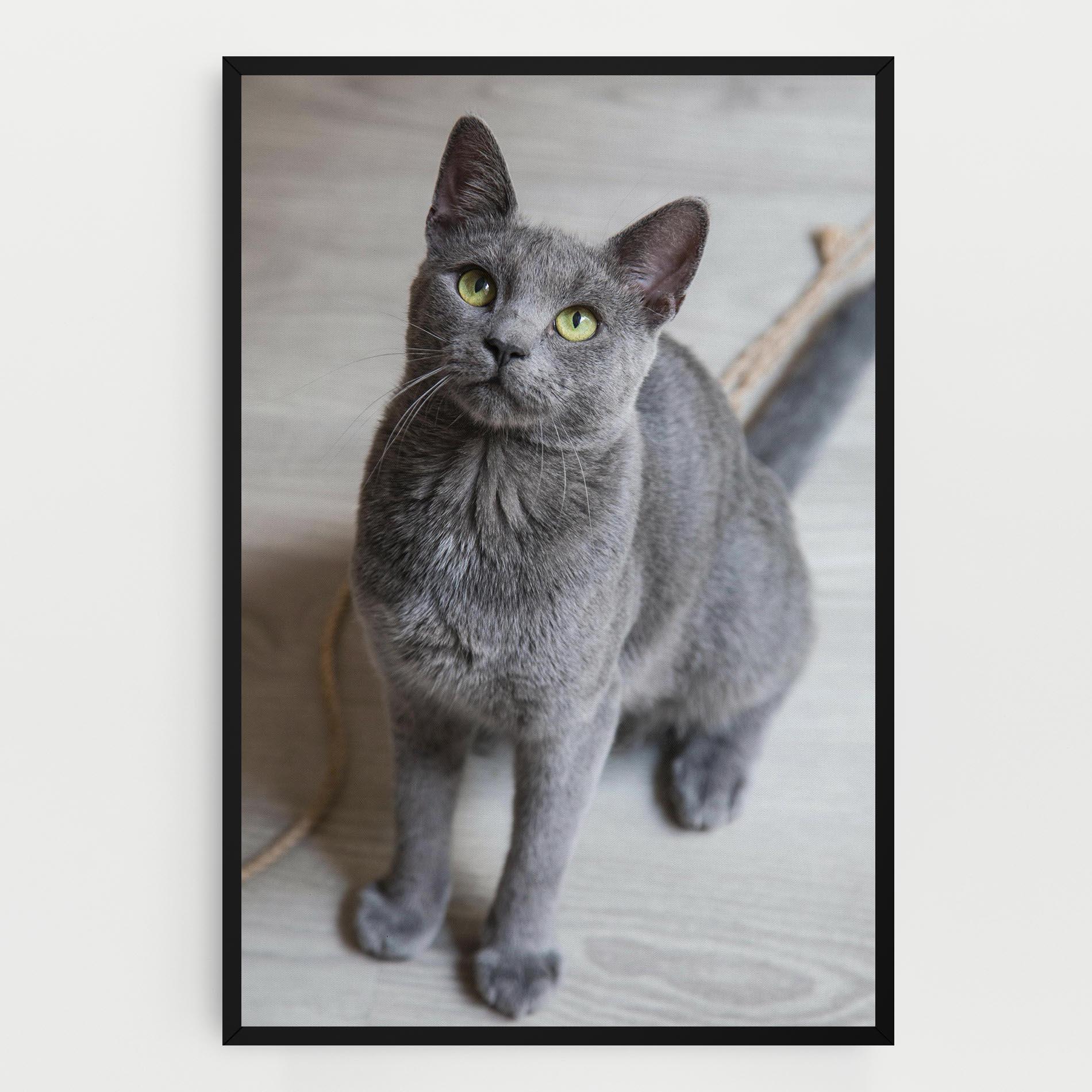 Tablou Canvas Grey Green Cat Eyes mockup 0