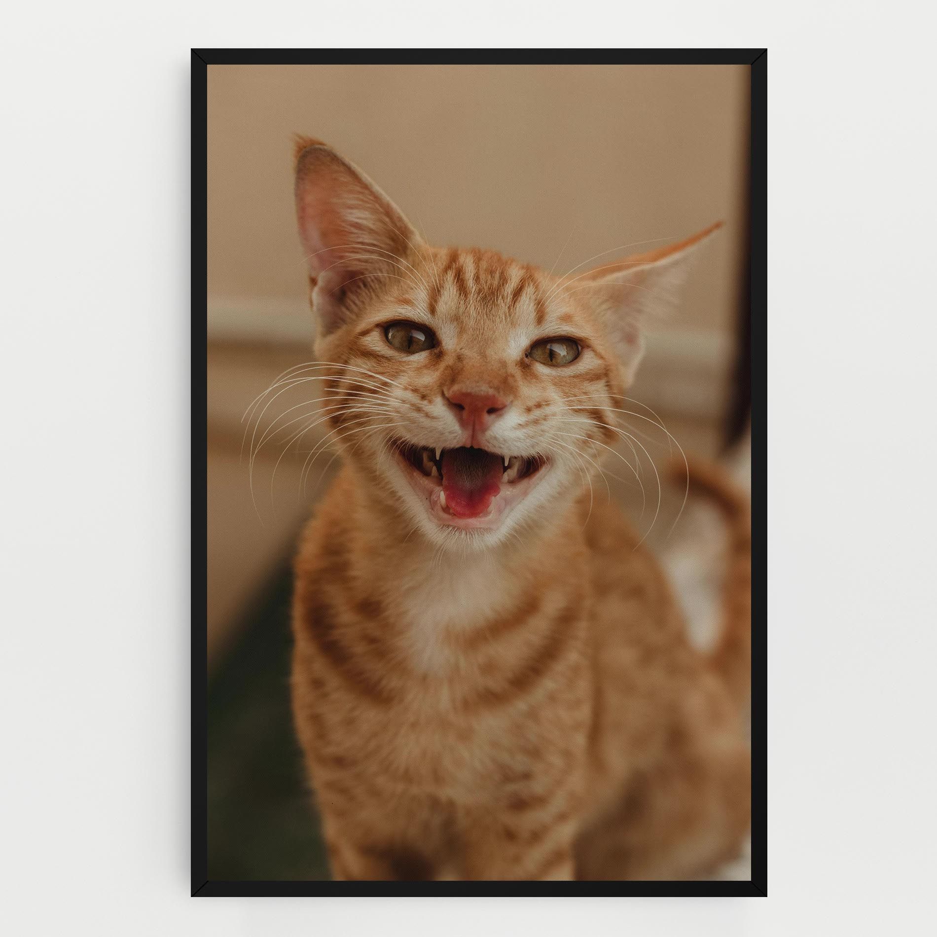 Orange Cat Smiling mockup 0