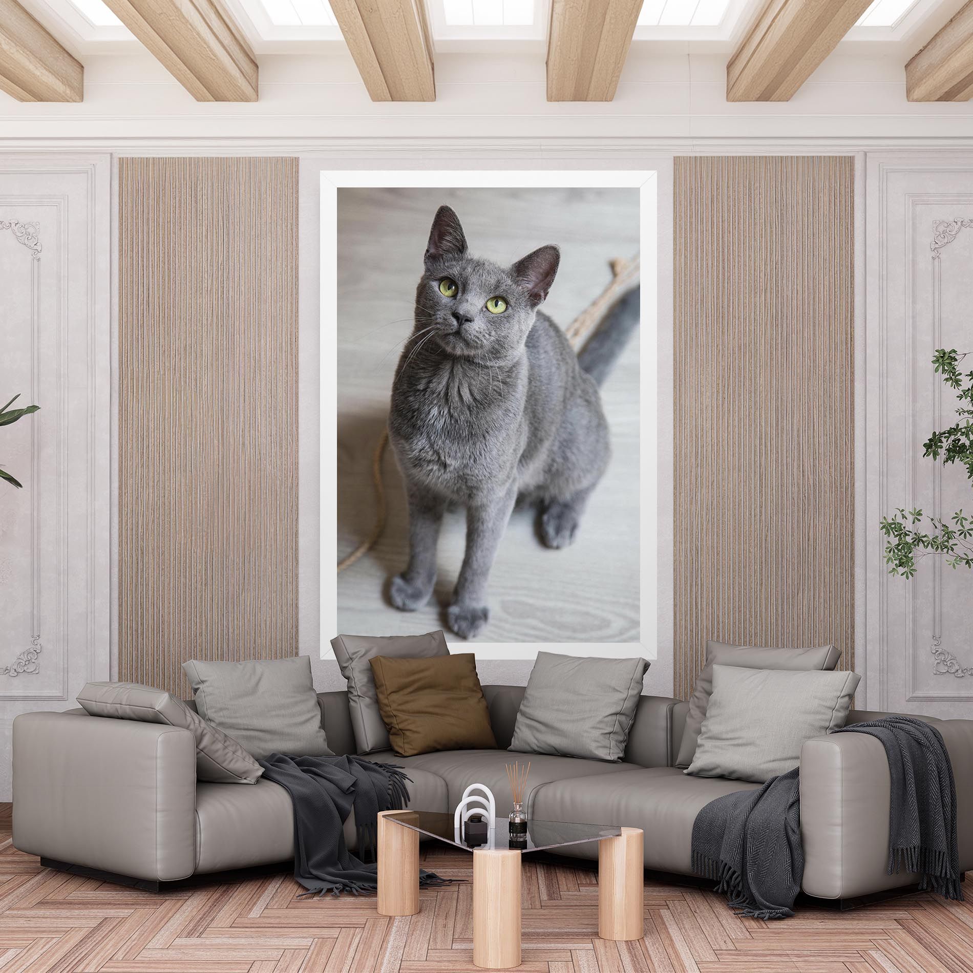 Grey Green Cat Eyes mockup 6