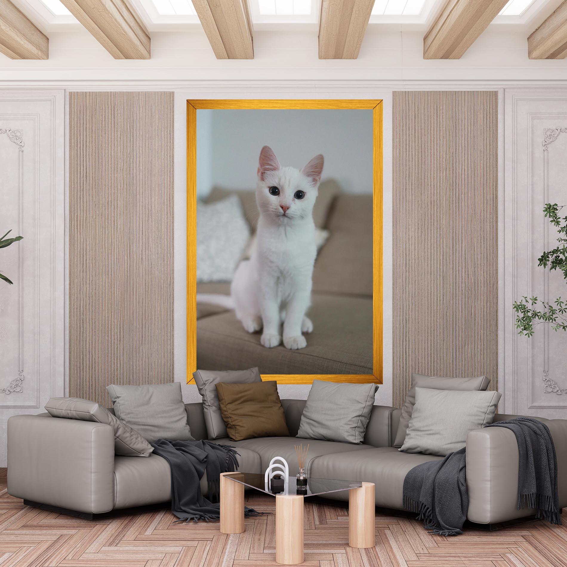 Tablou Canvas Beautiful White Cat mockup 6
