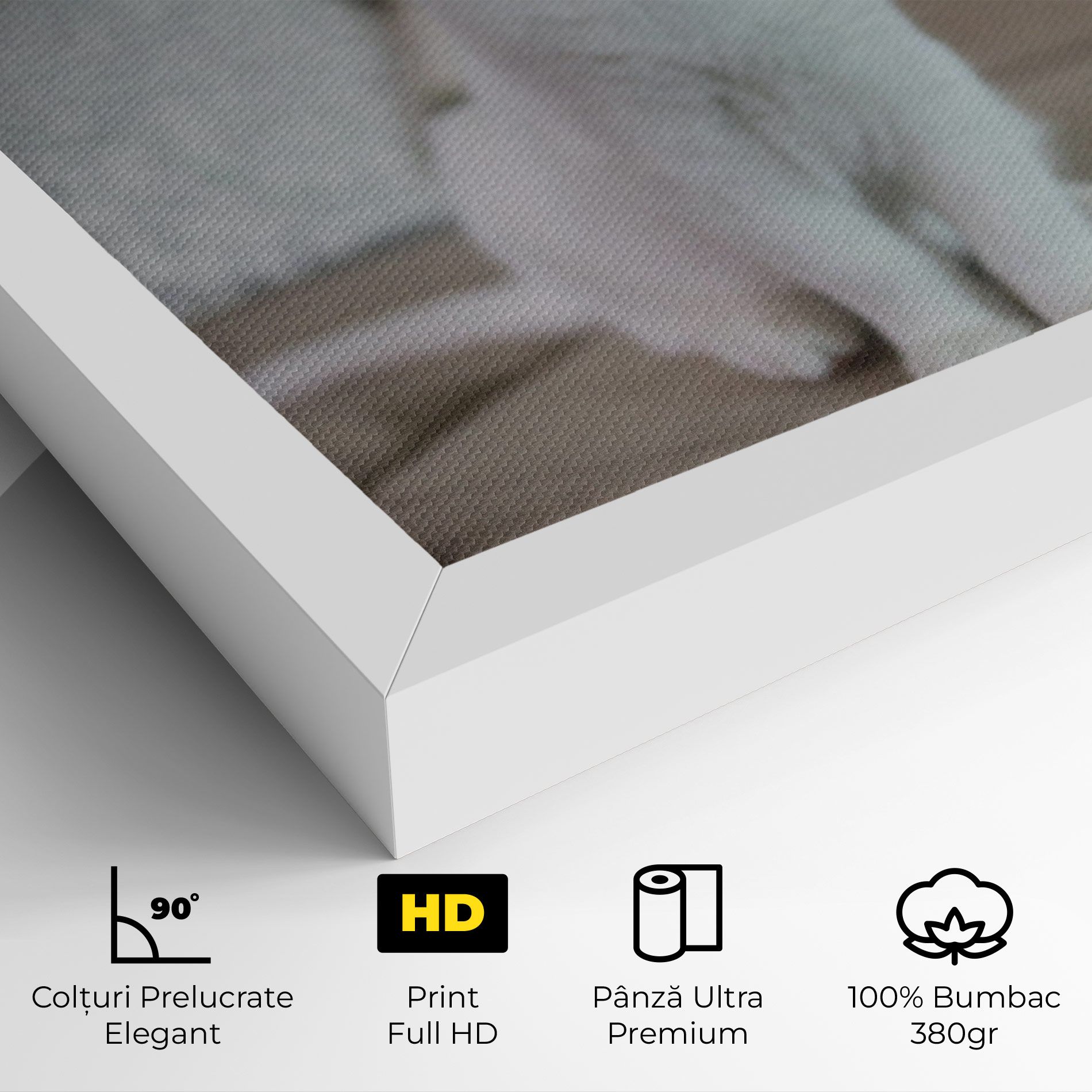 Beautiful White Cat mockup 4