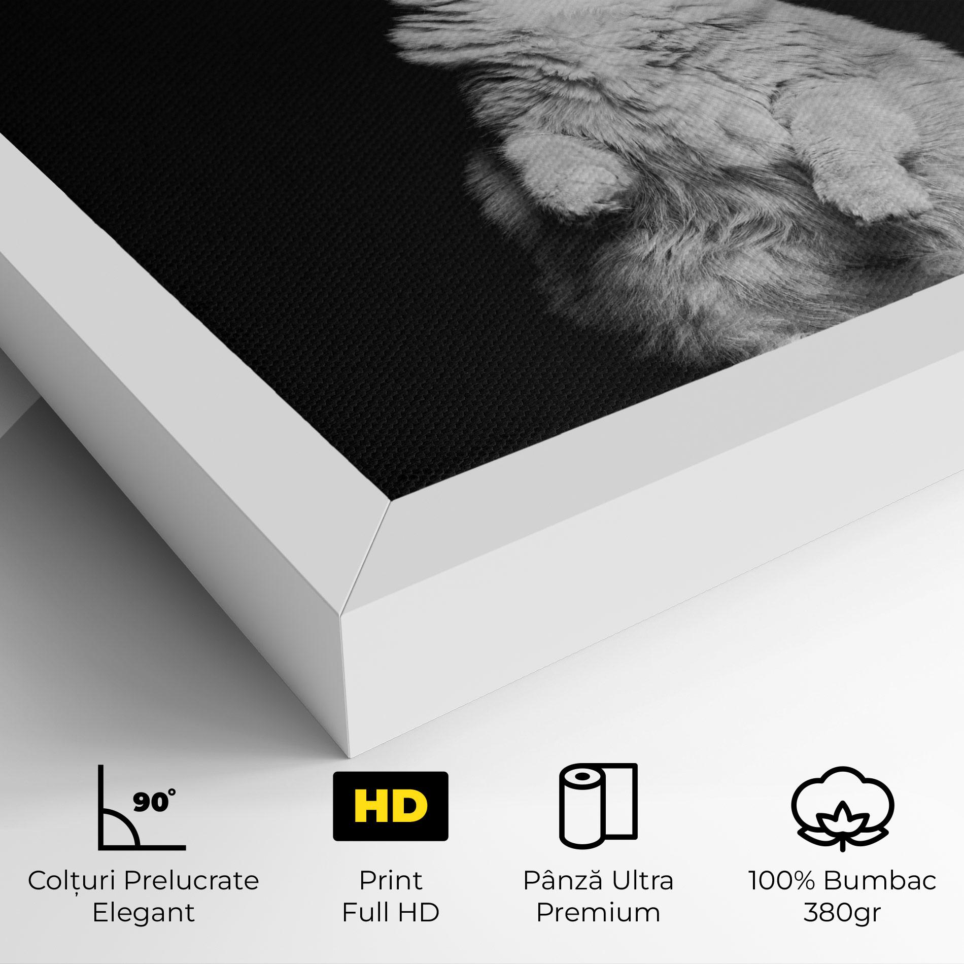 Tablou Canvas Big Fluffy Cat mockup 4