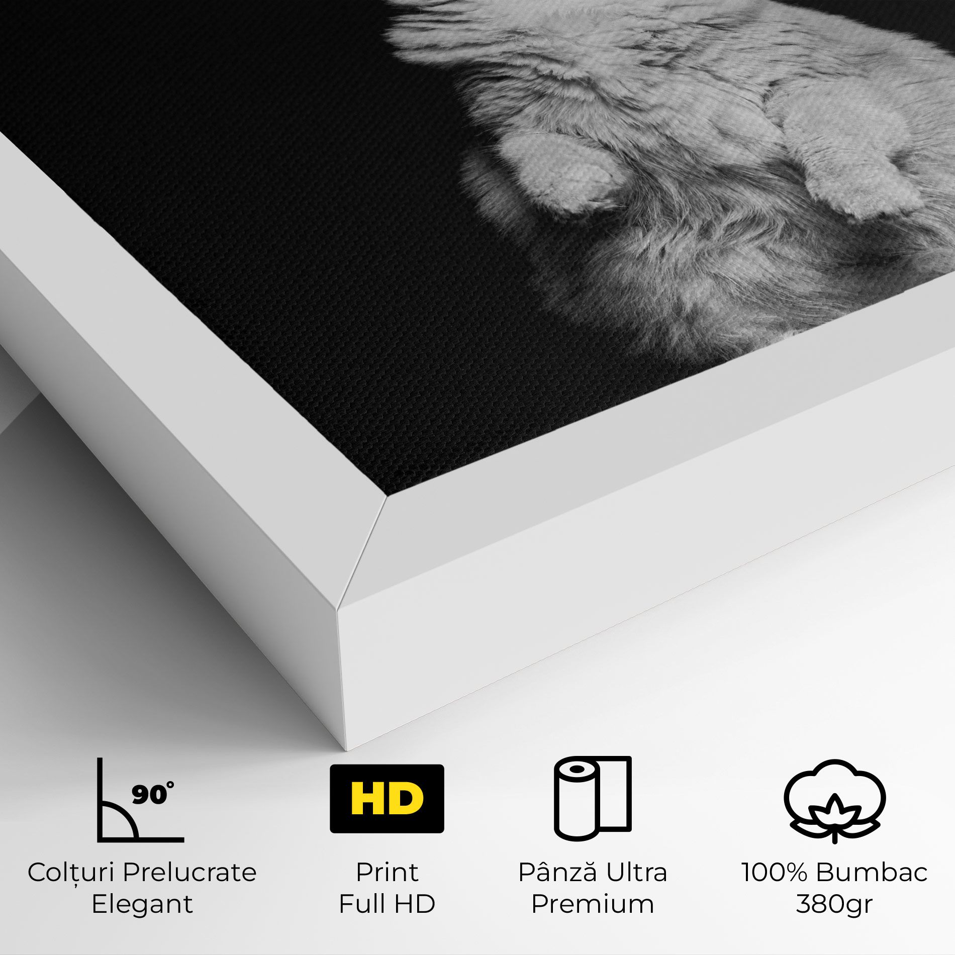 Big Fluffy Cat mockup 4