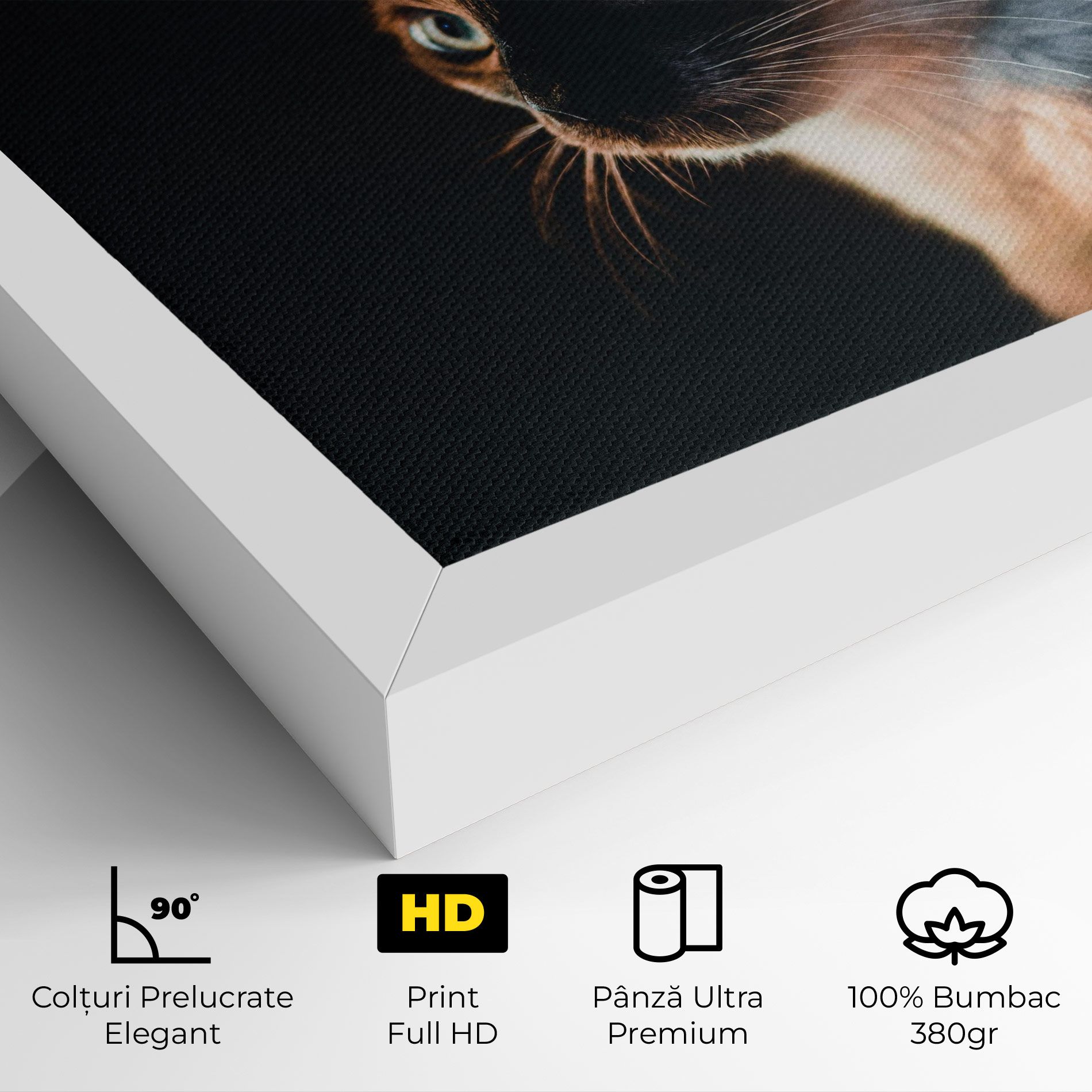 Blue Eyes Cat In Dark mockup 4