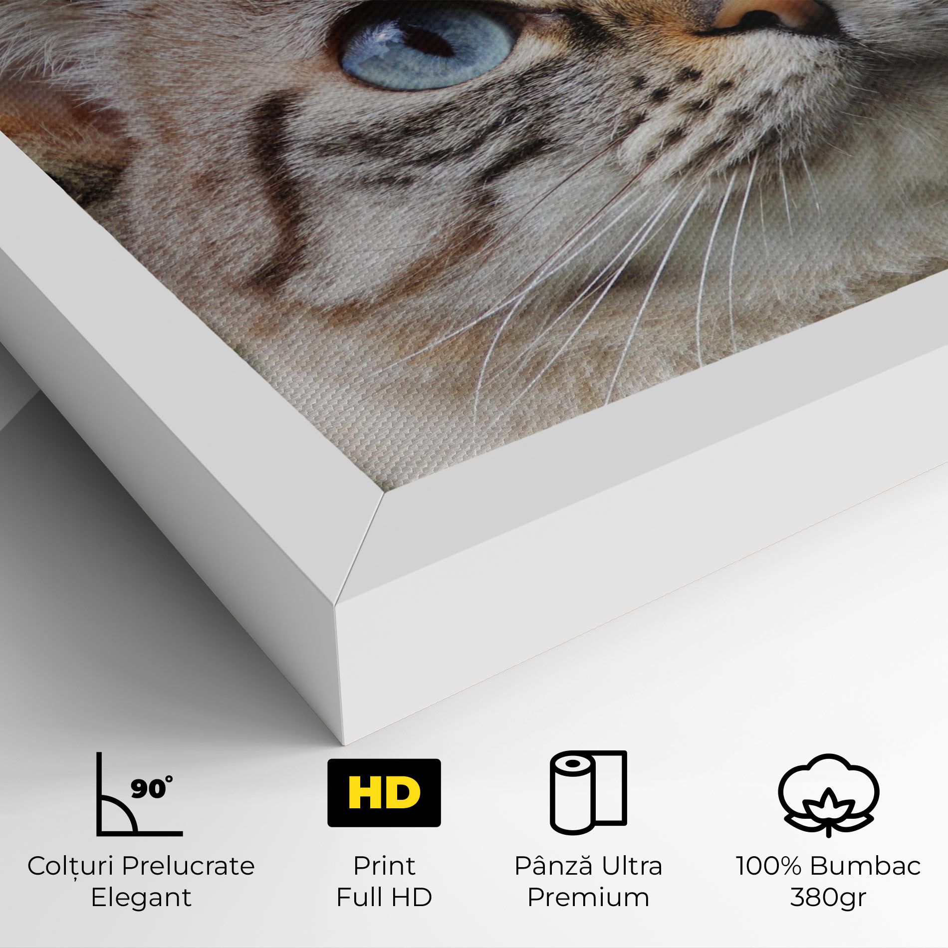 Blue Eyes Cutie mockup 4