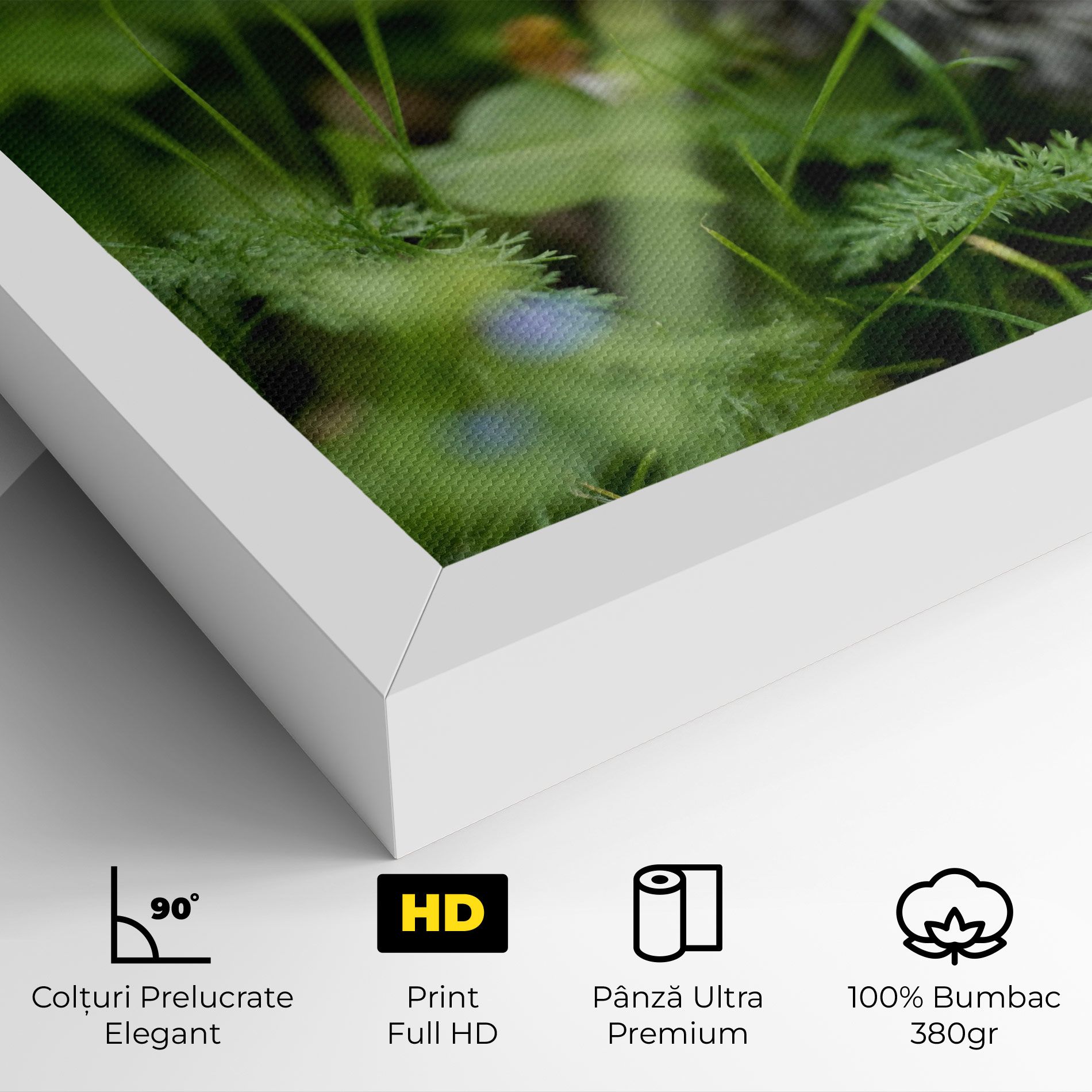 Brown Baby Cat mockup 4