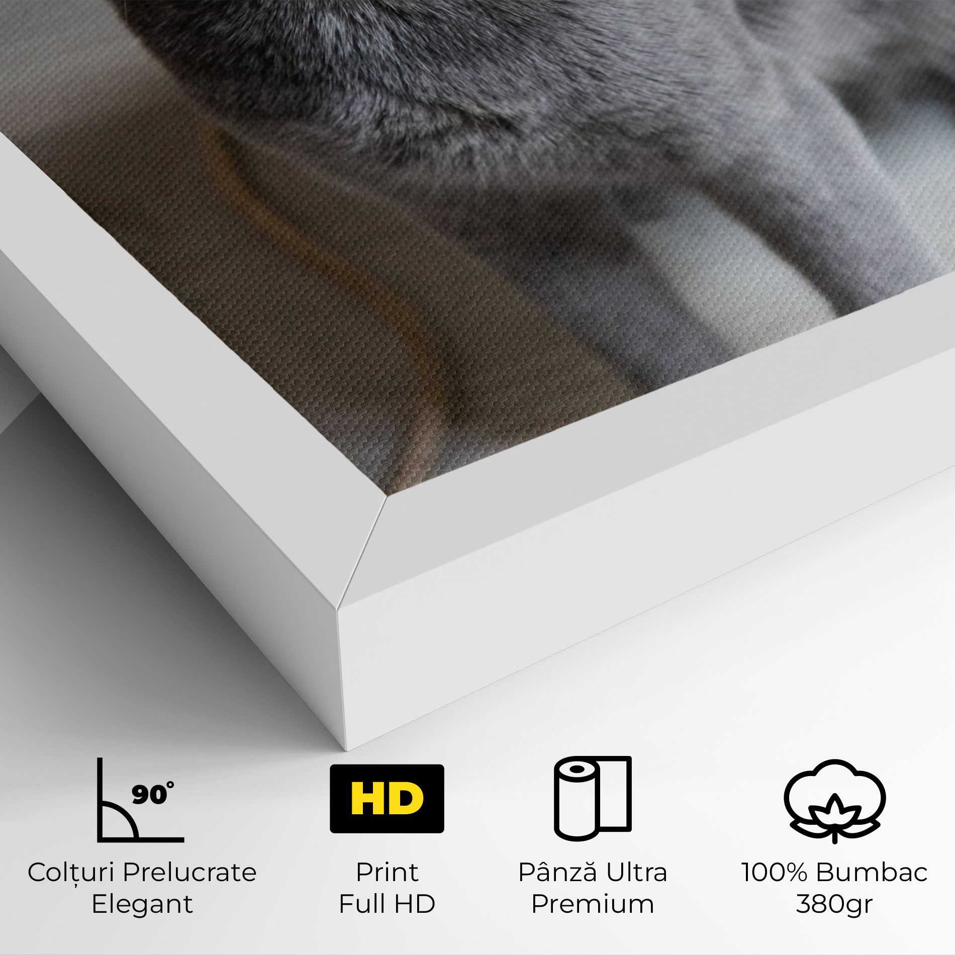 Grey Green Cat Eyes mockup 4