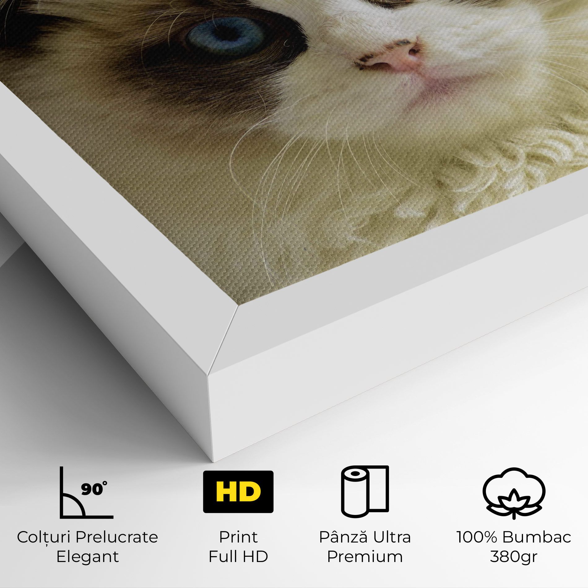 Interesting Blue Eyes Cat mockup 4