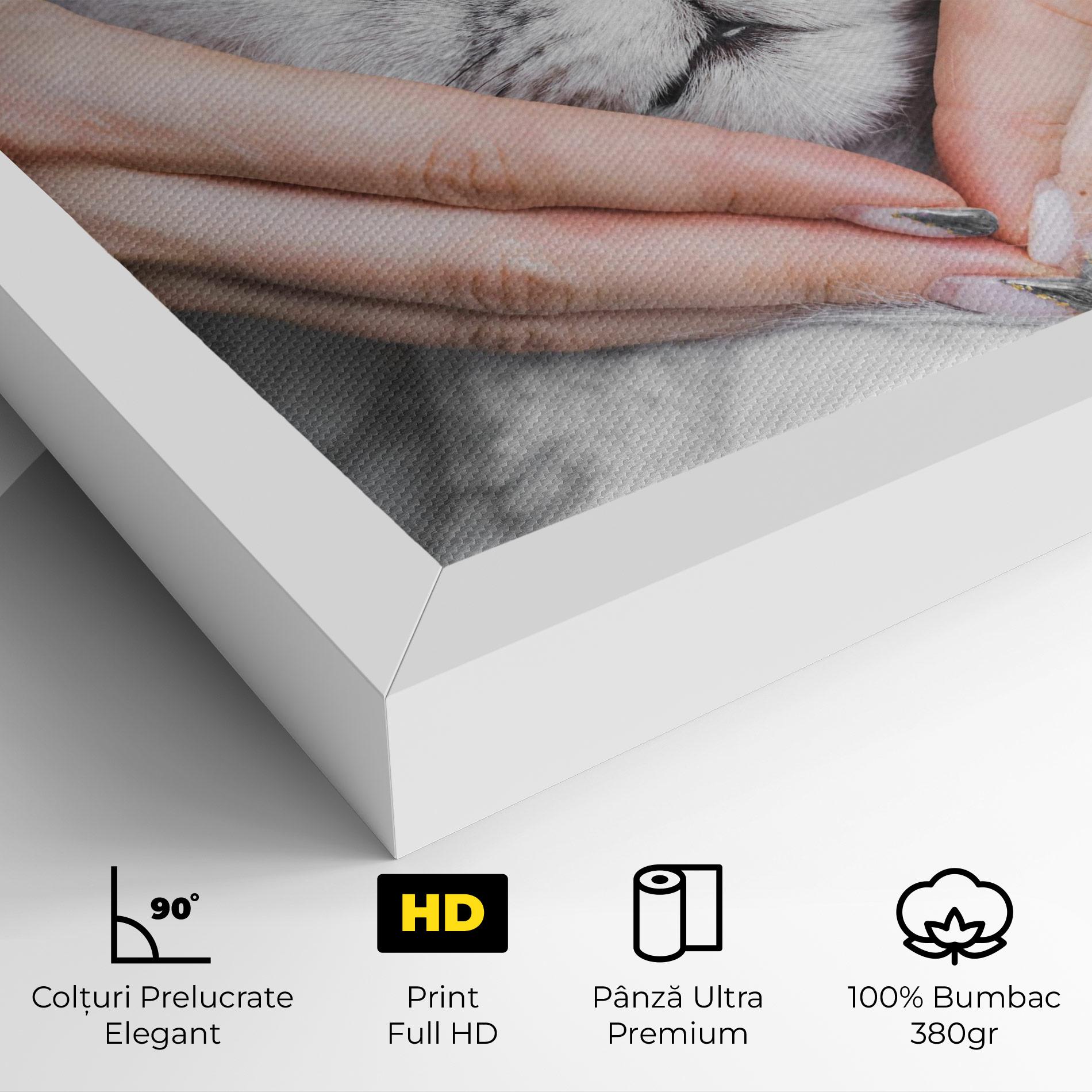 Tablou Canvas Lovely Cat mockup 4