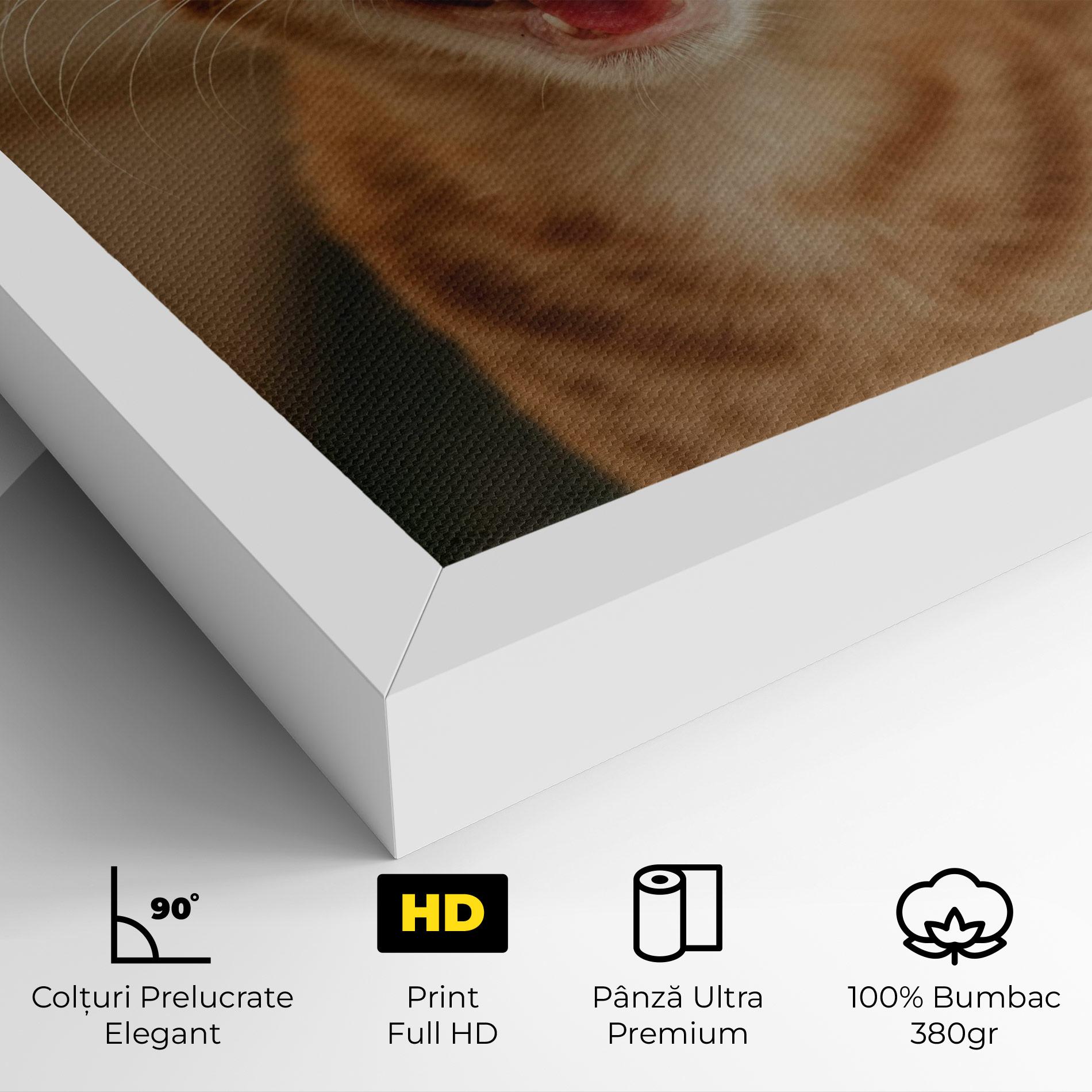 Tablou Canvas Orange Cat Smiling mockup 4