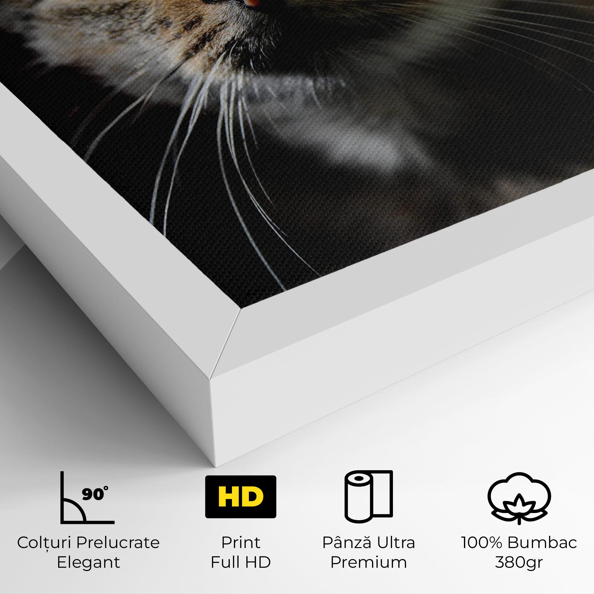Tablou Canvas Playful Cat mockup 4