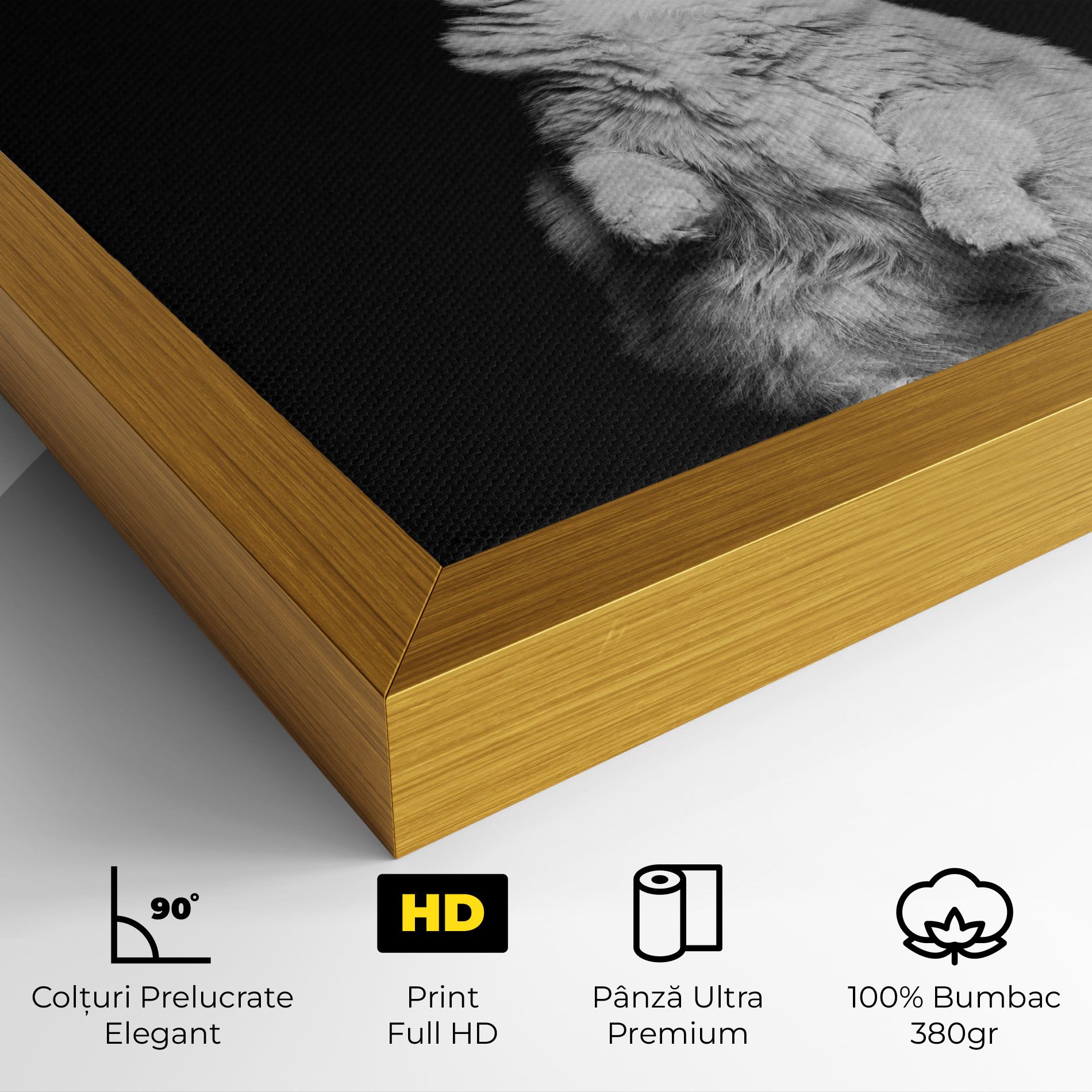 Big Fluffy Cat mockup 4