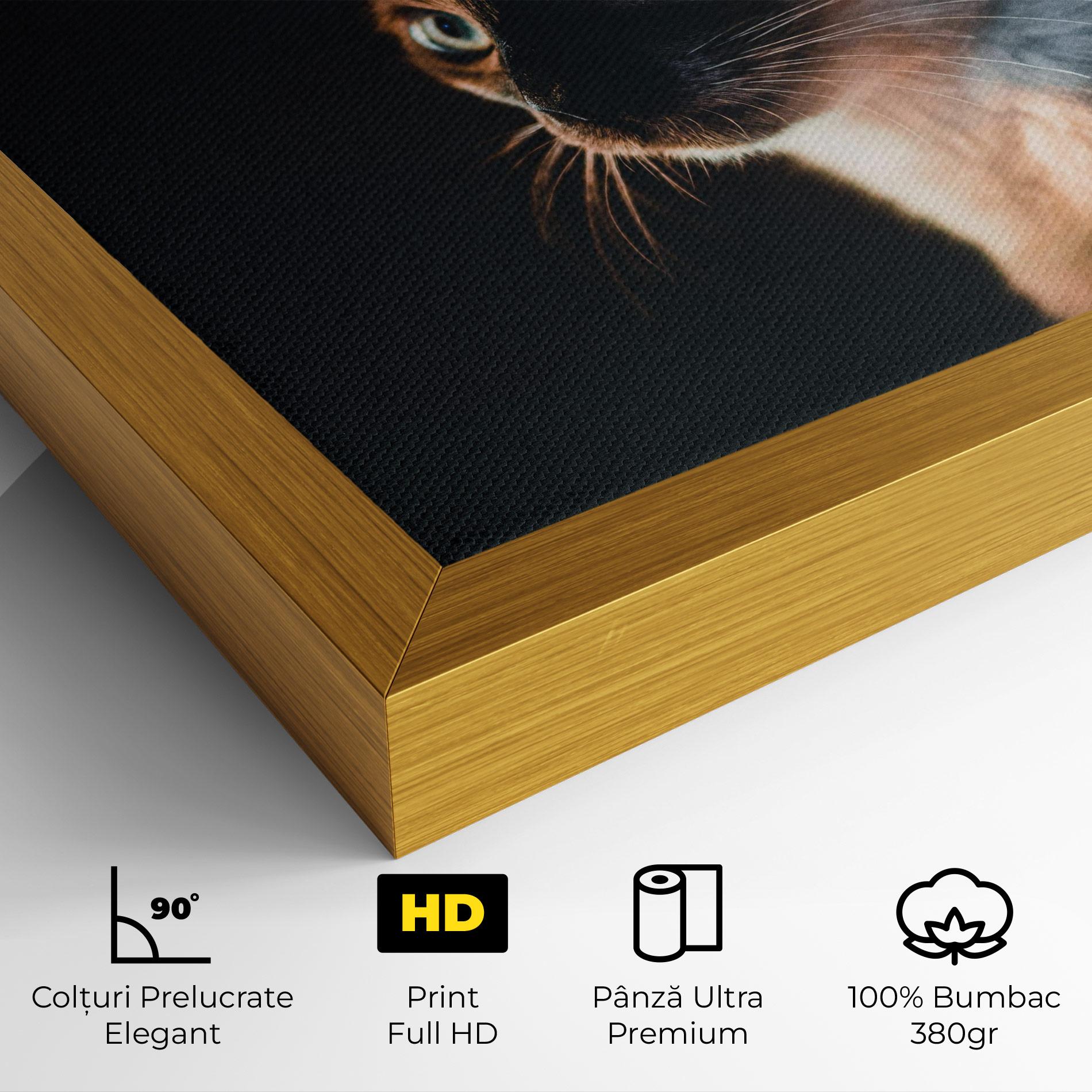 Tablou Canvas Blue Eyes Cat In Dark mockup 4