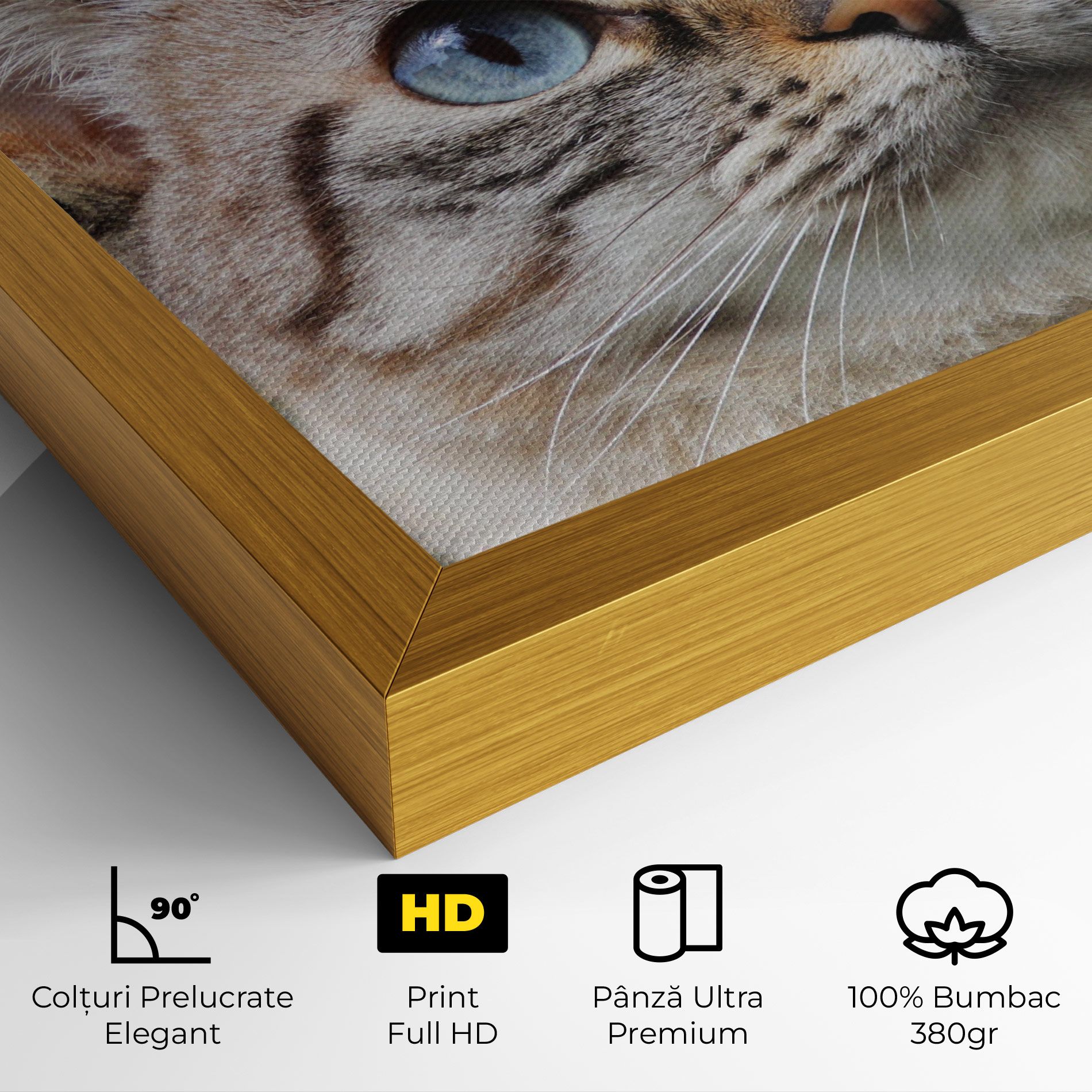 Blue Eyes Cutie mockup 4