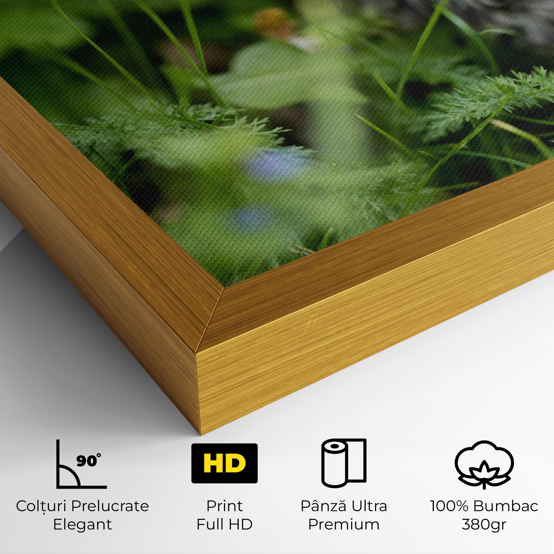 Tablou Canvas Brown Baby Cat mockup 4