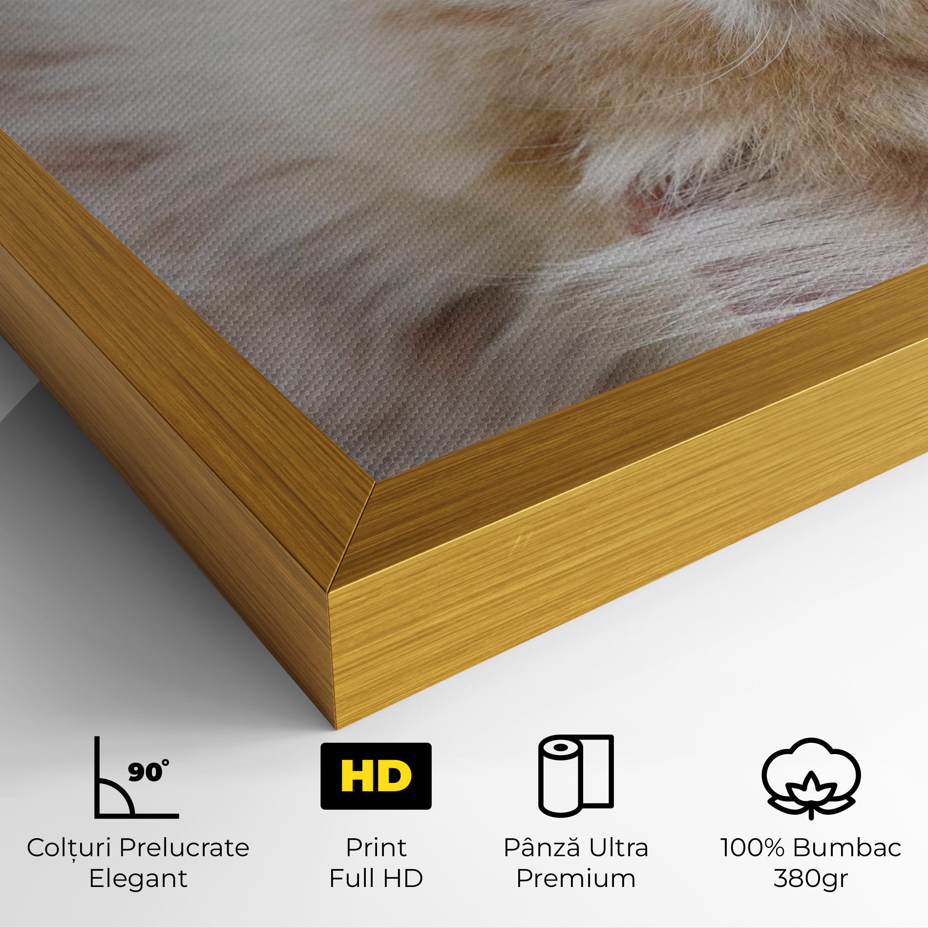 Close Up Yellow Eyes Cat mockup 4