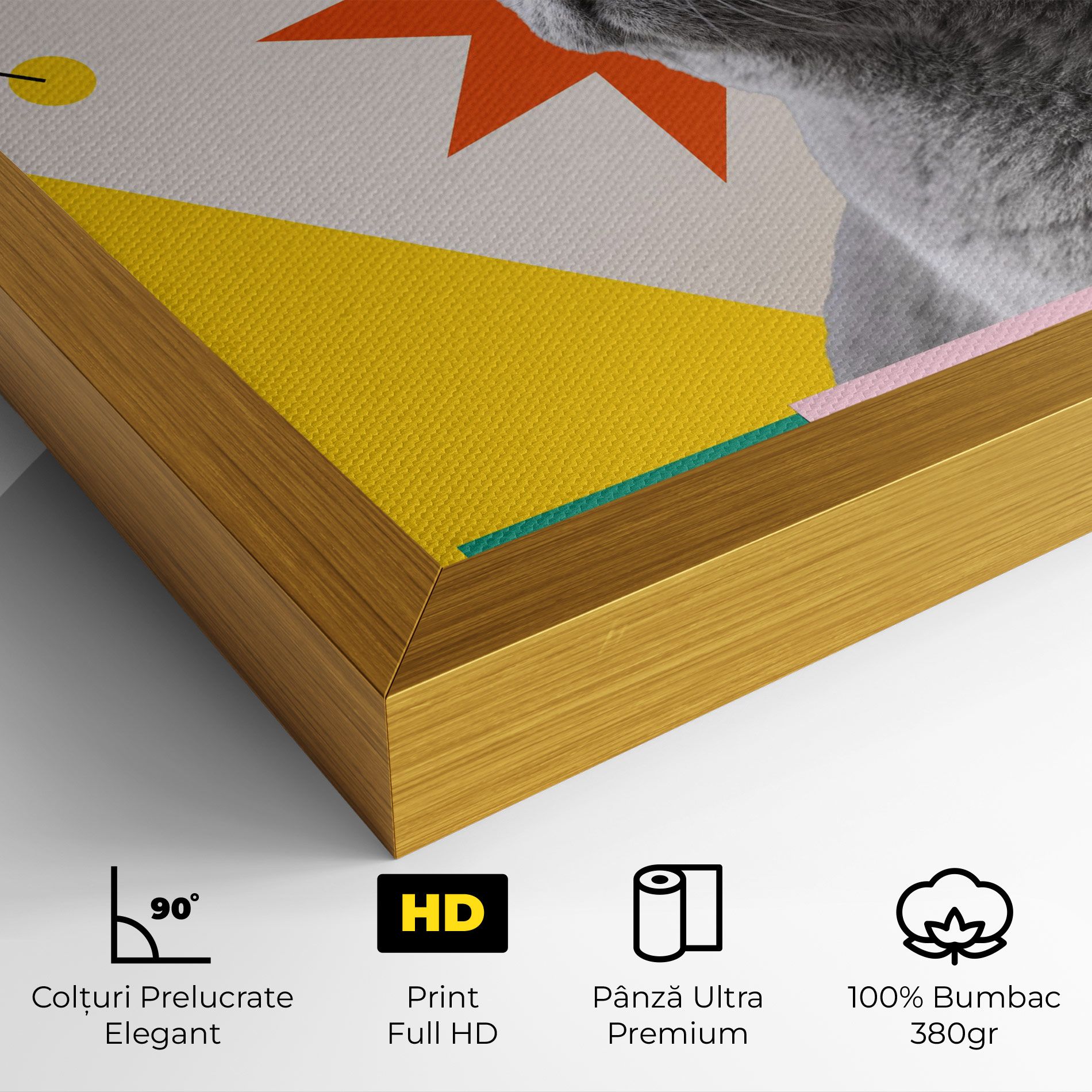 Colorful Graphic Cat mockup 4