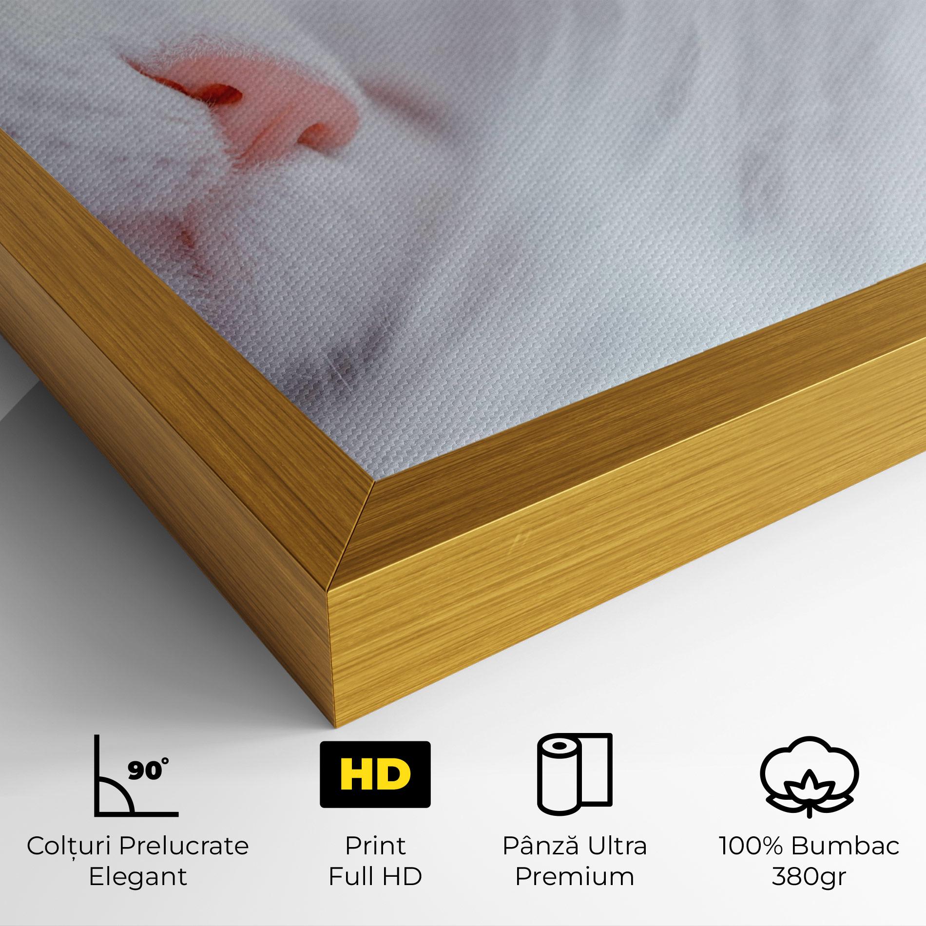 Tablou Canvas Dreamy White Cat mockup 4