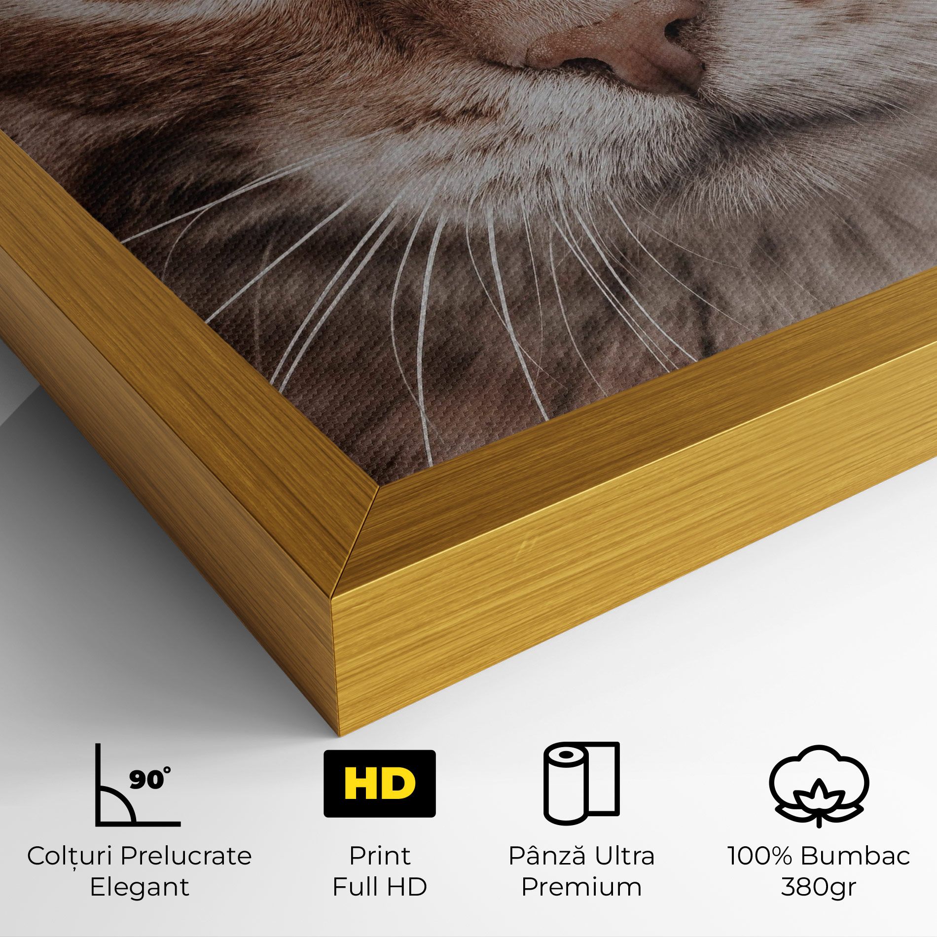 Fire Eyes Cat mockup 4