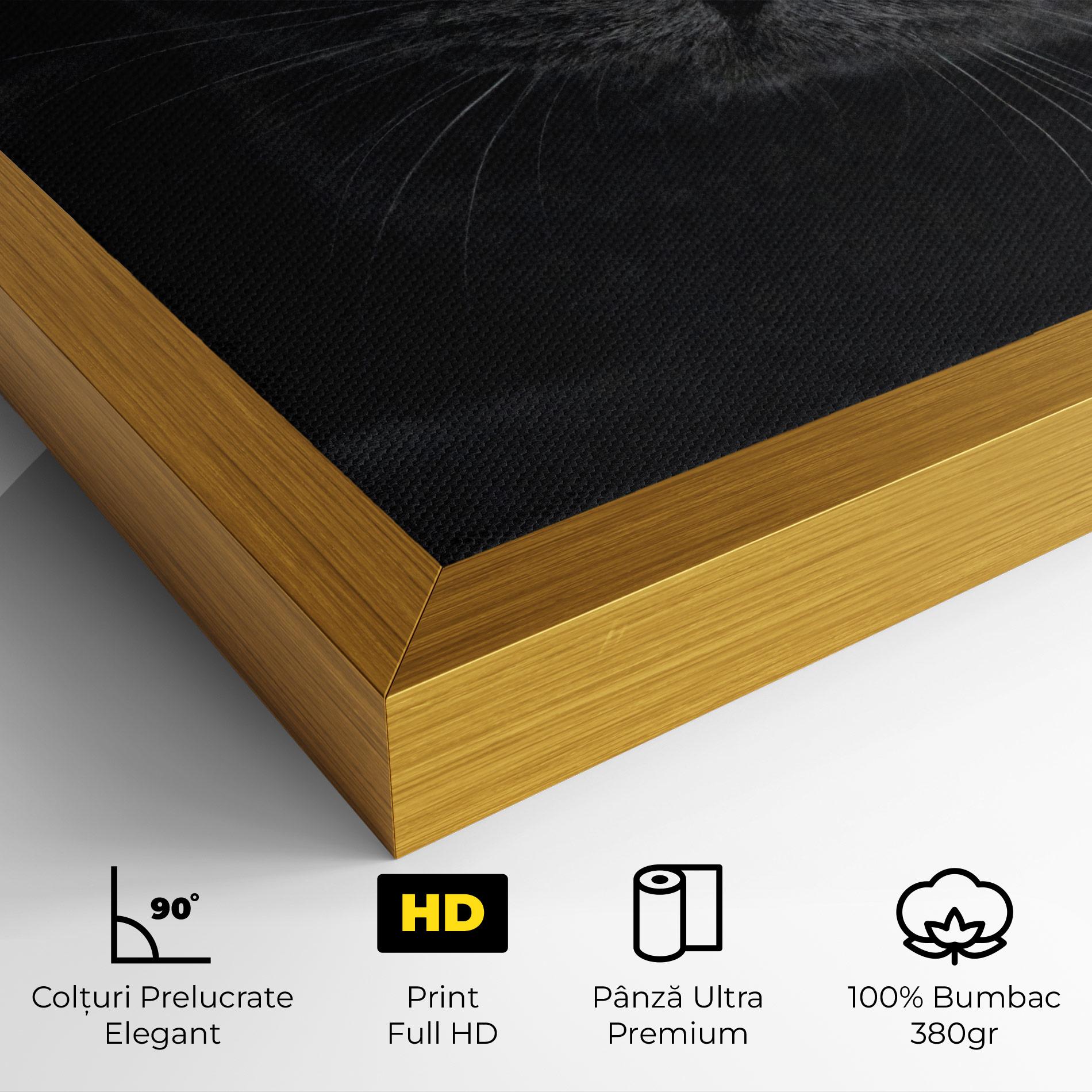 Tablou Canvas Grey Cat With Orange Eyes mockup 4