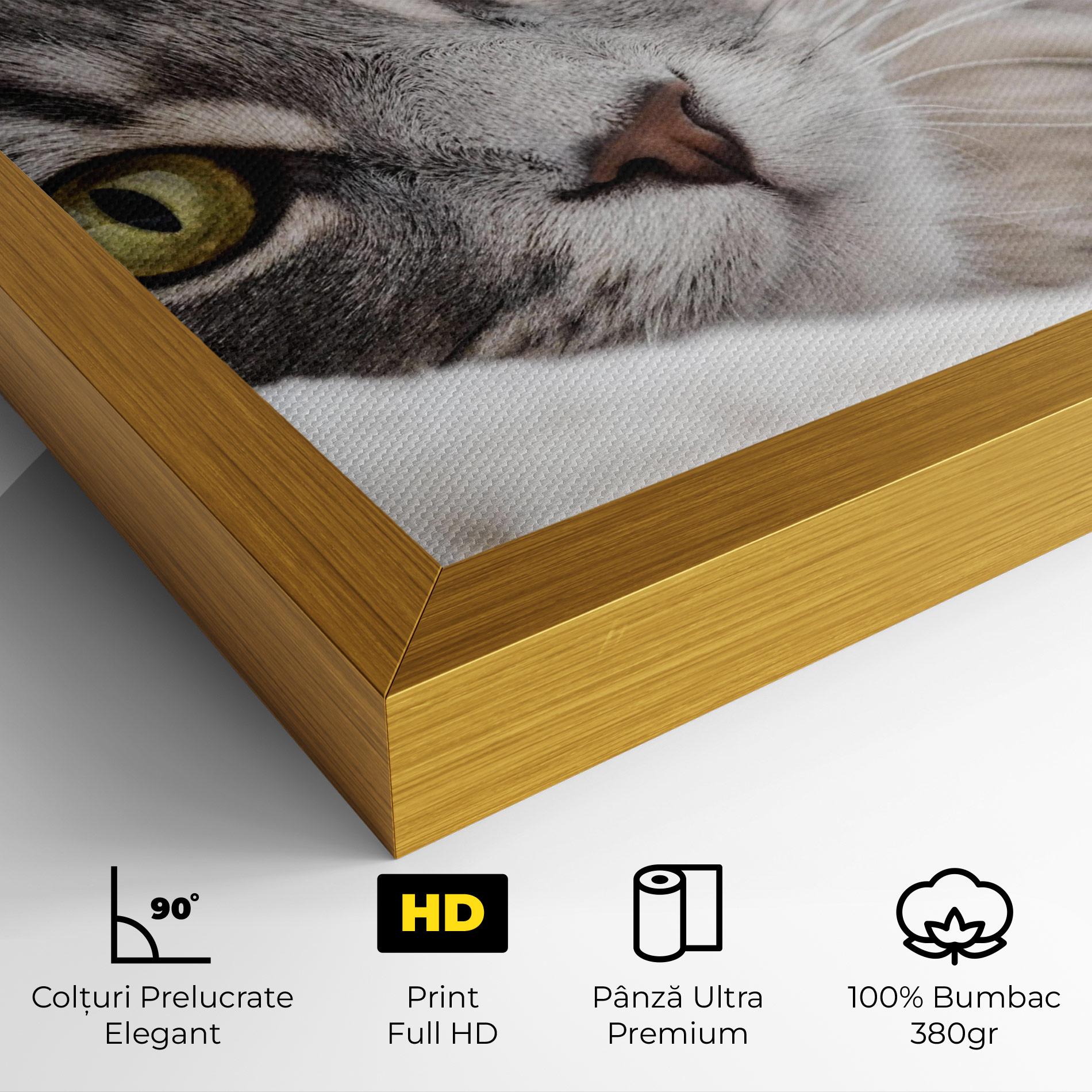 Tablou Canvas Grey Fluffy Cat mockup 4