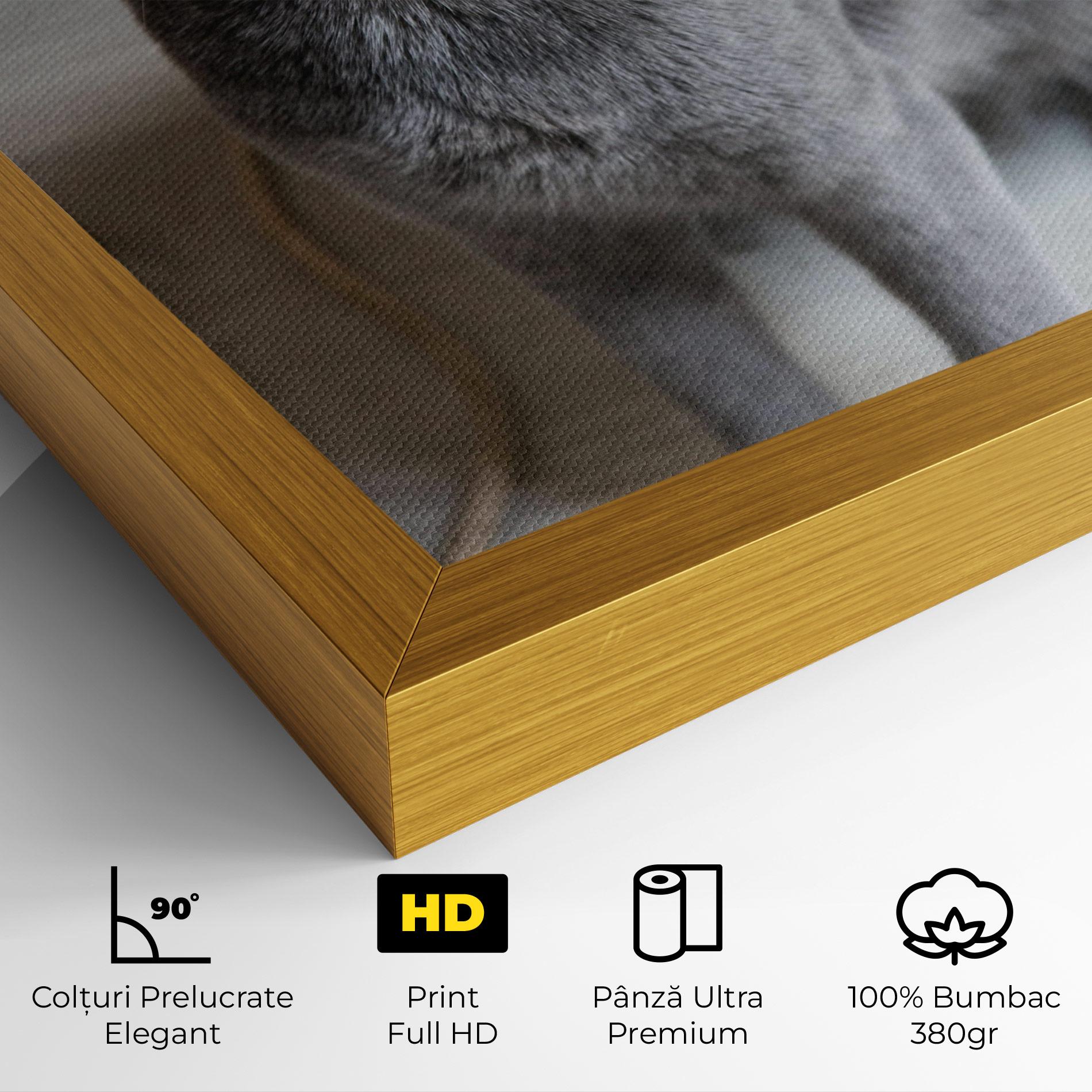 Tablou Canvas Grey Green Cat Eyes mockup 4