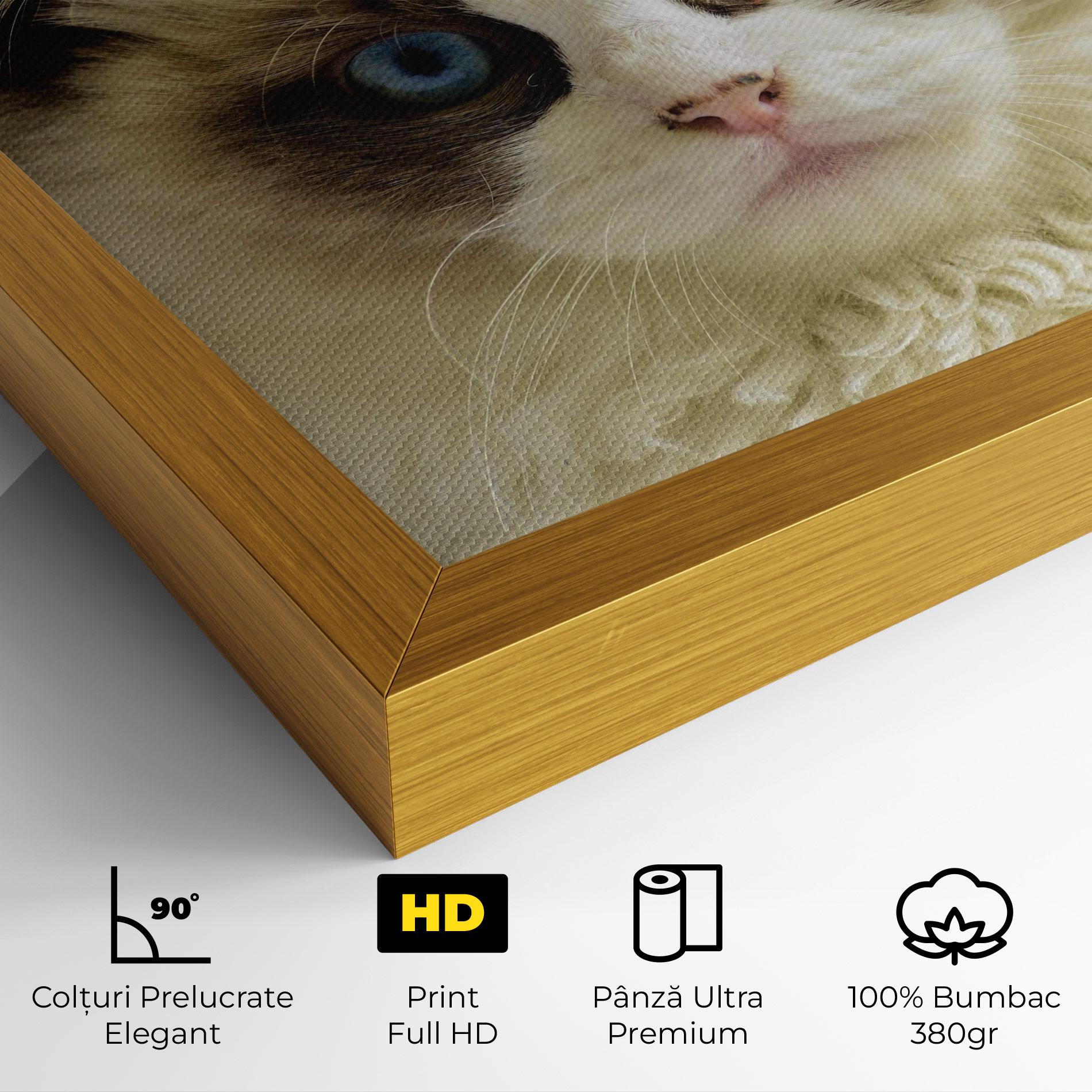 Tablou Canvas Interesting Blue Eyes Cat mockup 4