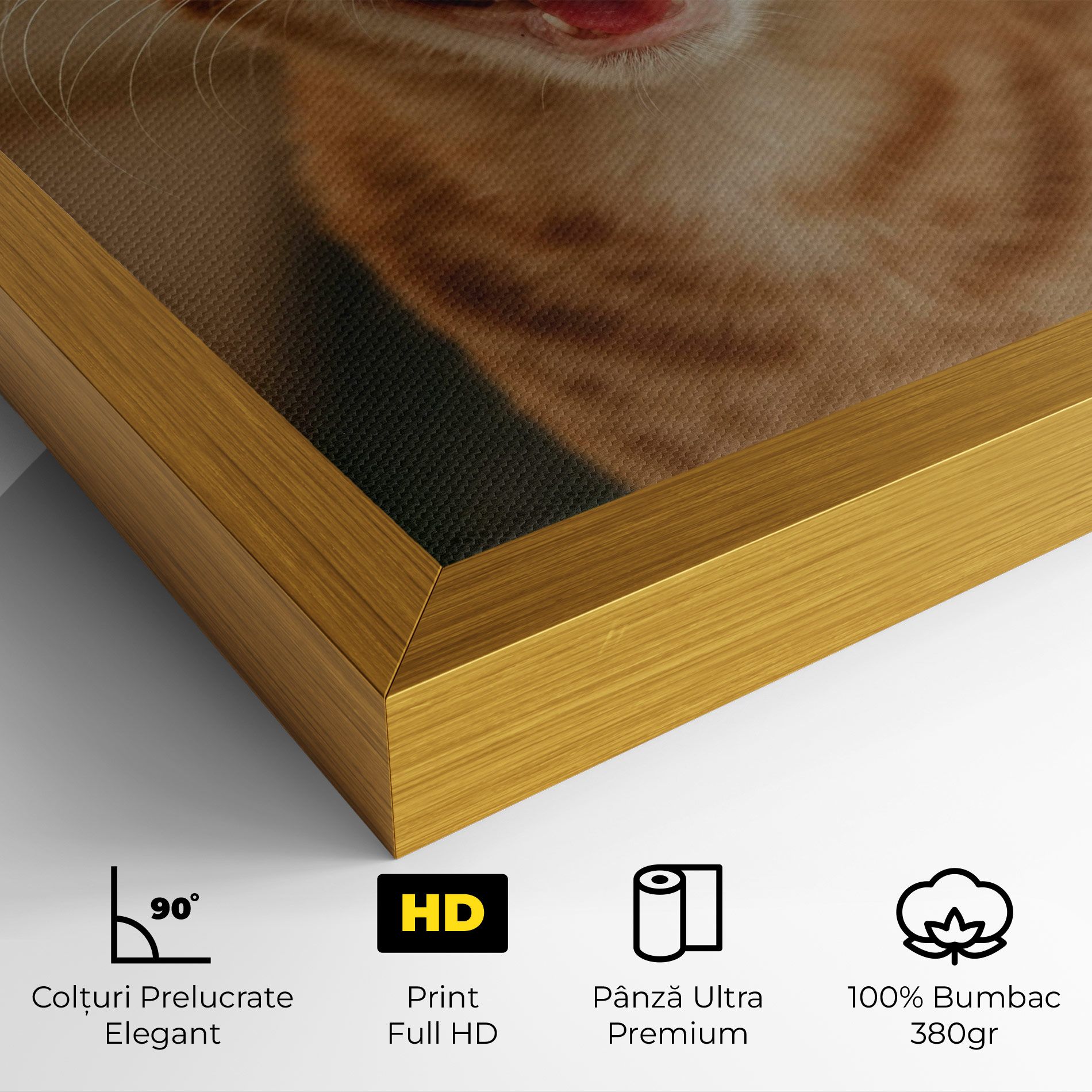 Orange Cat Smiling mockup 4