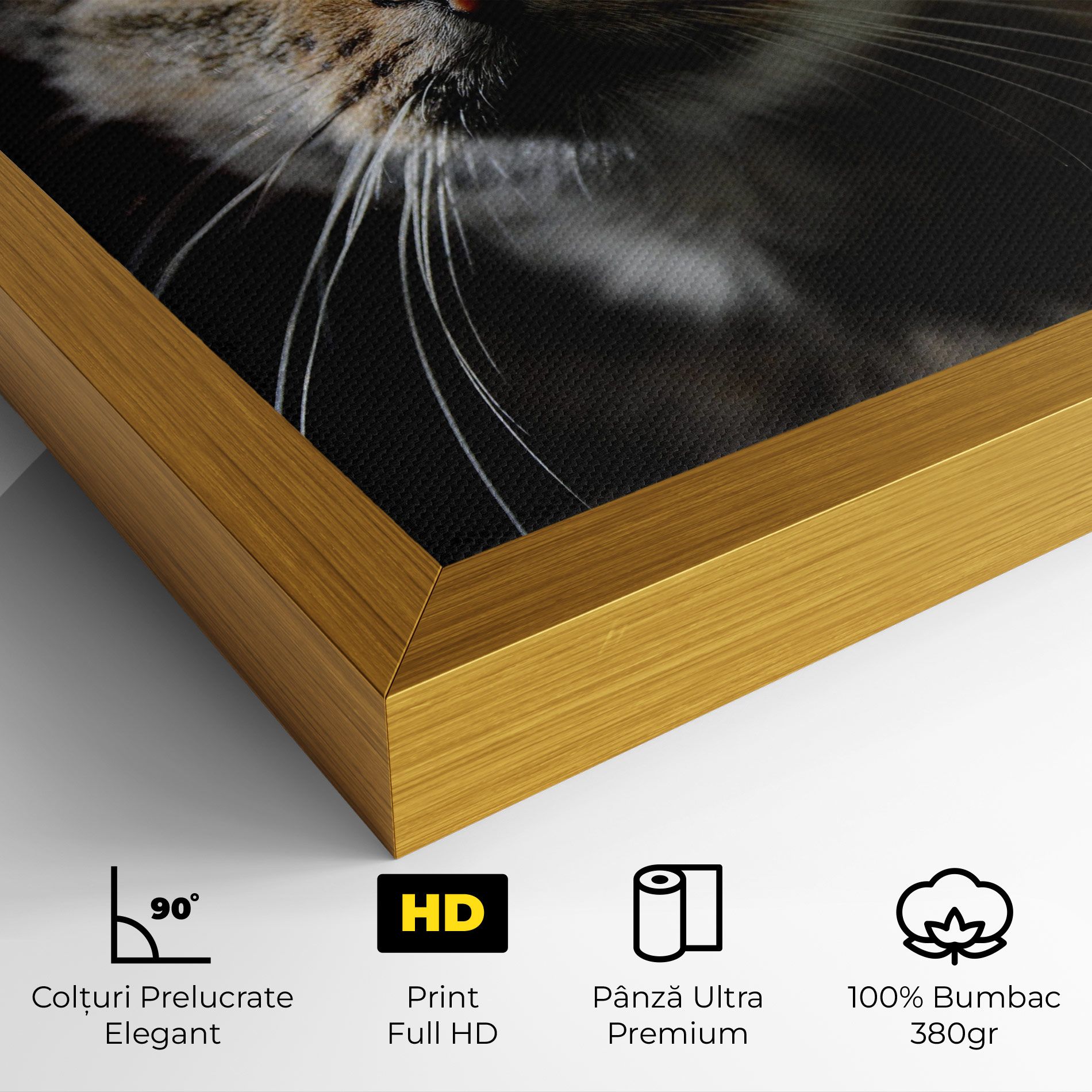 Playful Cat mockup 4