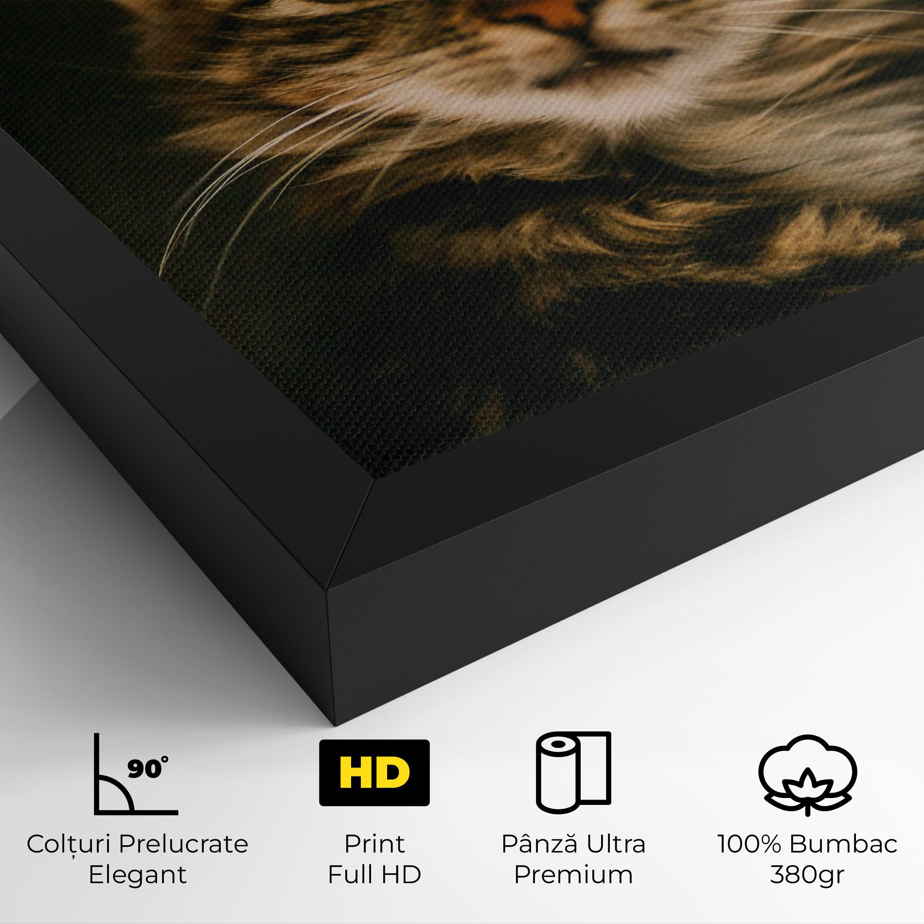 Amazed Cat mockup 4