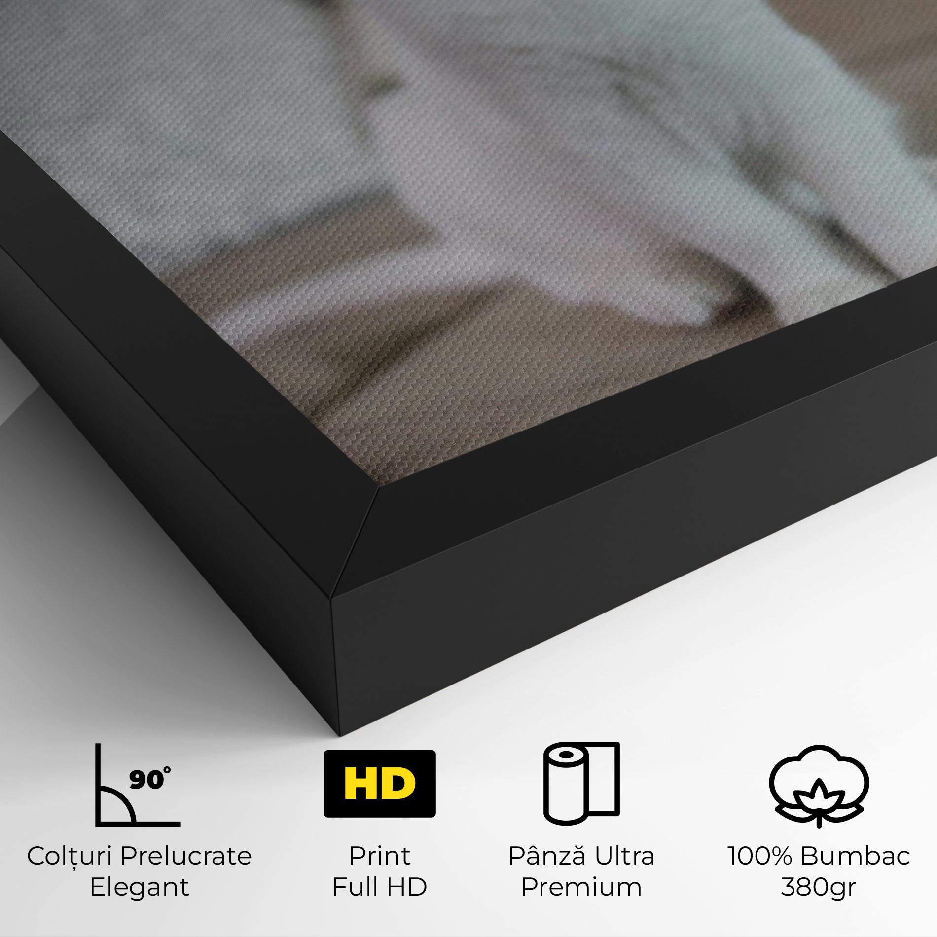 Tablou Canvas Beautiful White Cat mockup 4