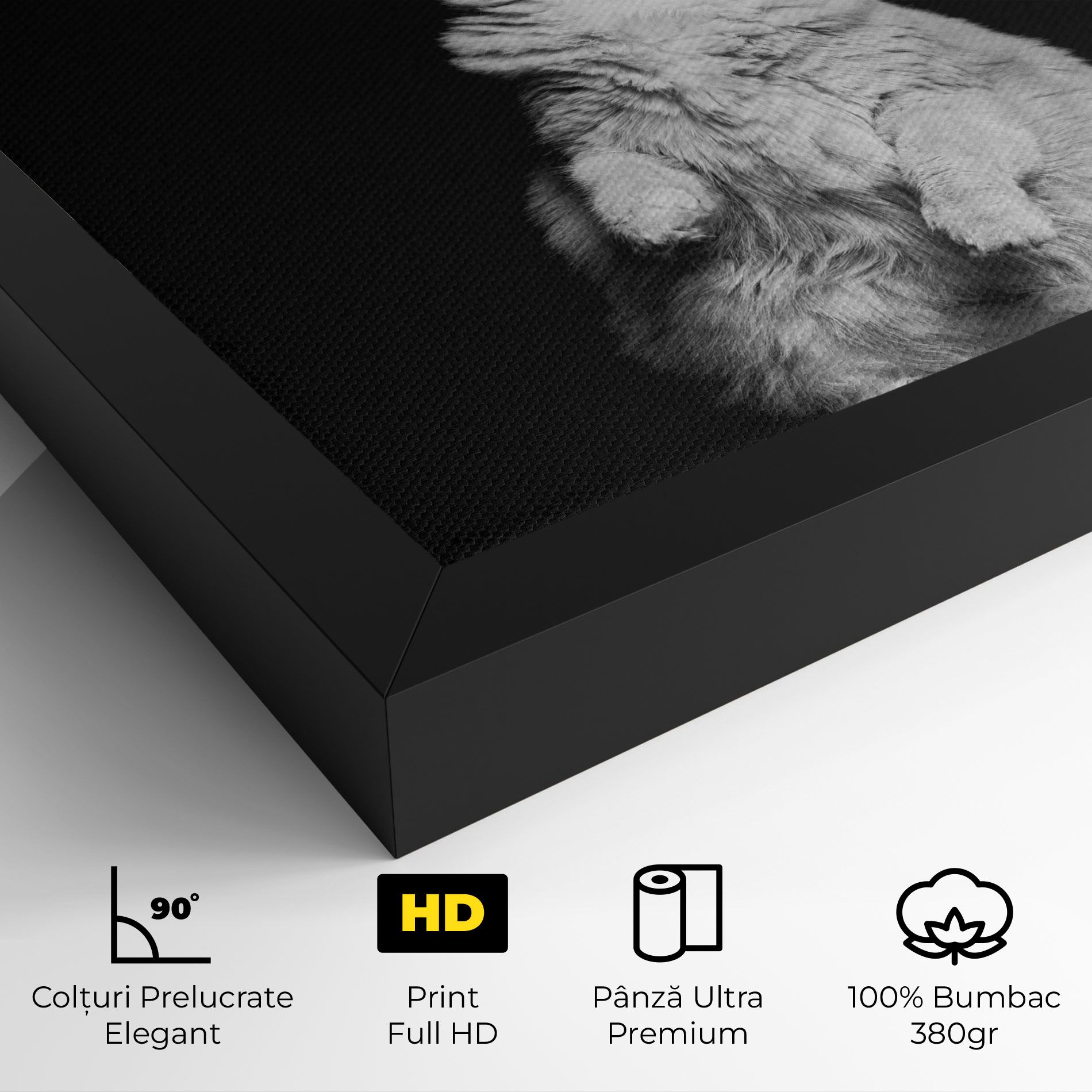 Big Fluffy Cat mockup 4