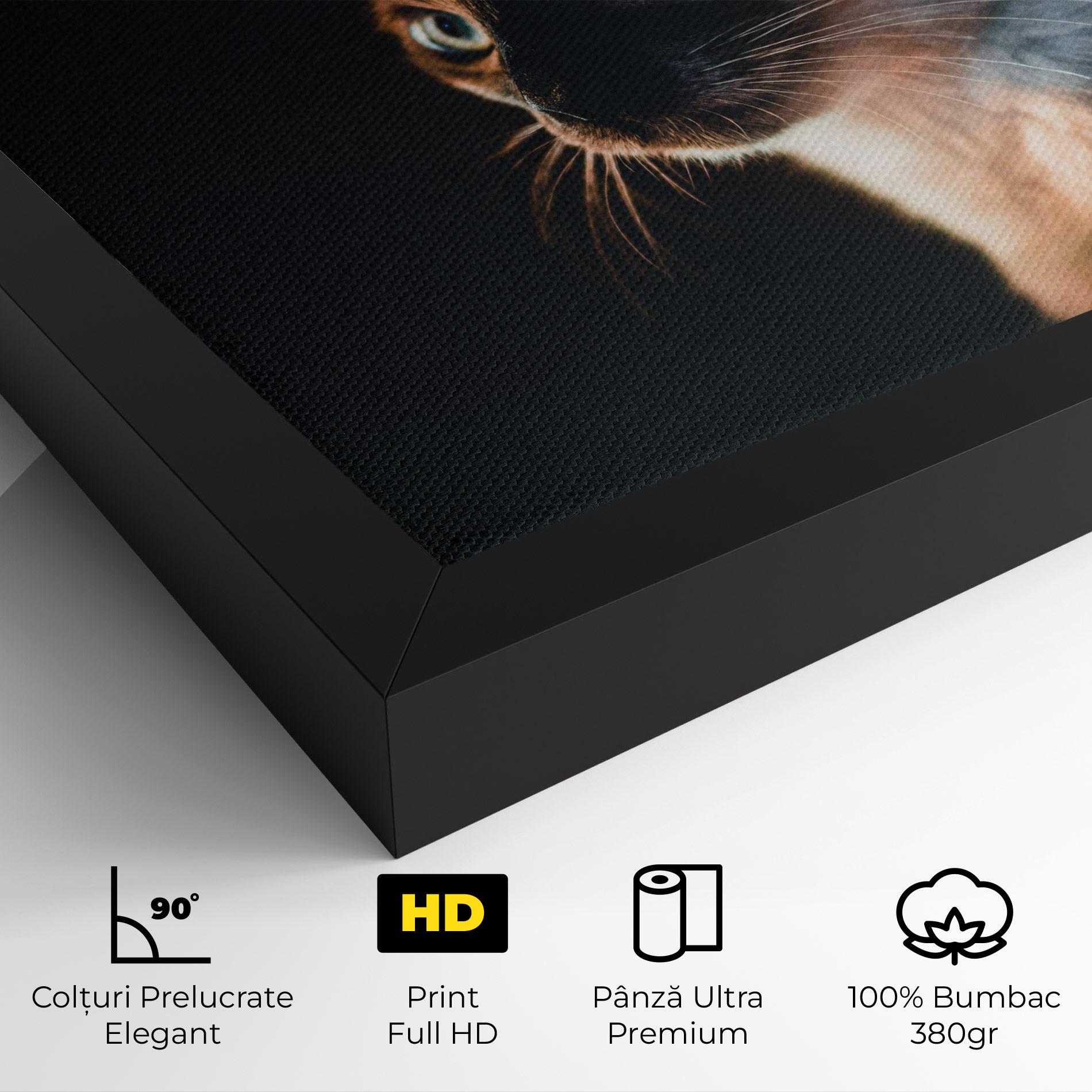 Tablou Canvas Blue Eyes Cat In Dark mockup 4