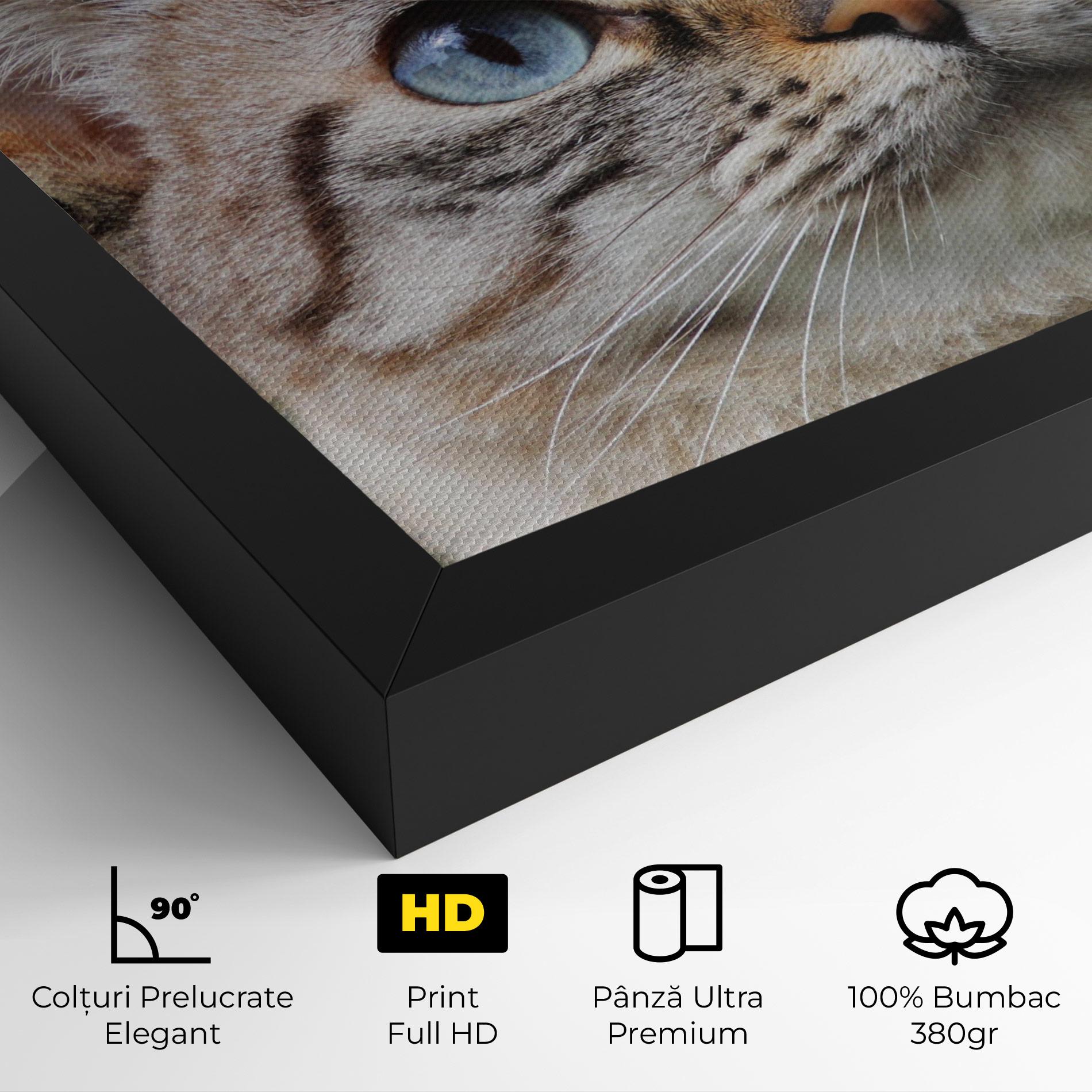 Tablou Canvas Blue Eyes Cutie mockup 4